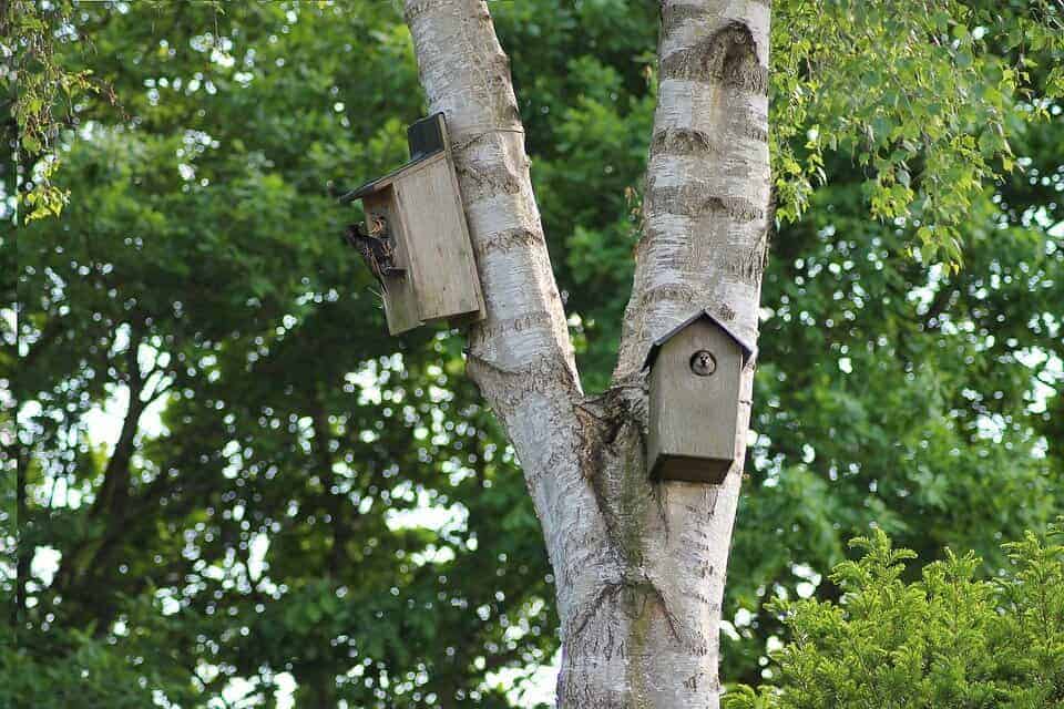 Hørsholm træer ved bolig til salg