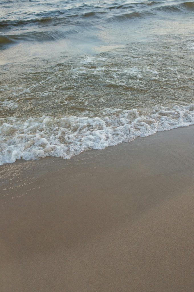 Overvejer du købe en bolig tæt på skov og strand? Her er hvad det betyder for husforsikringen?