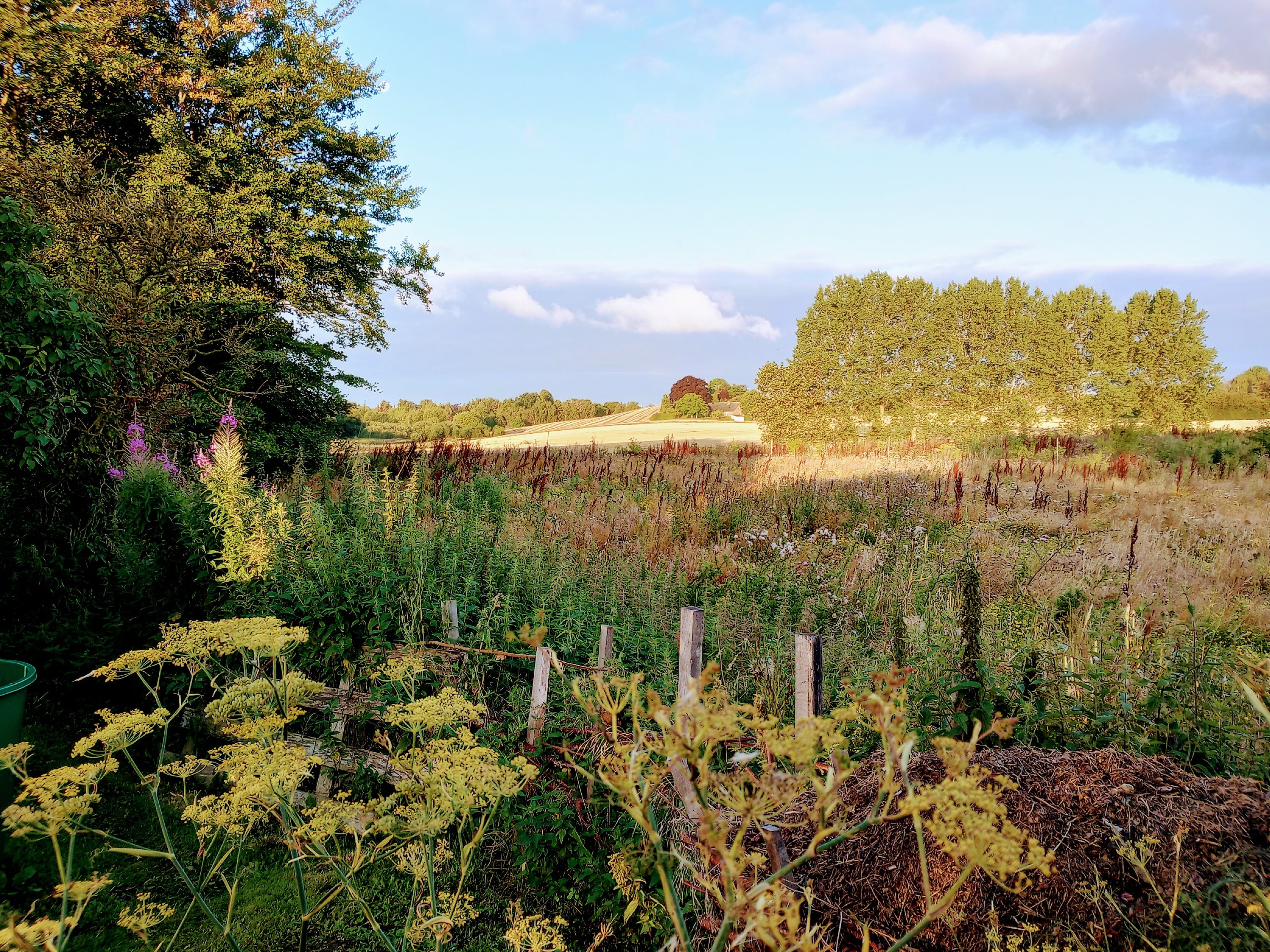 Løkkebyvej 6, Tullebølle, 5953 Tranekær