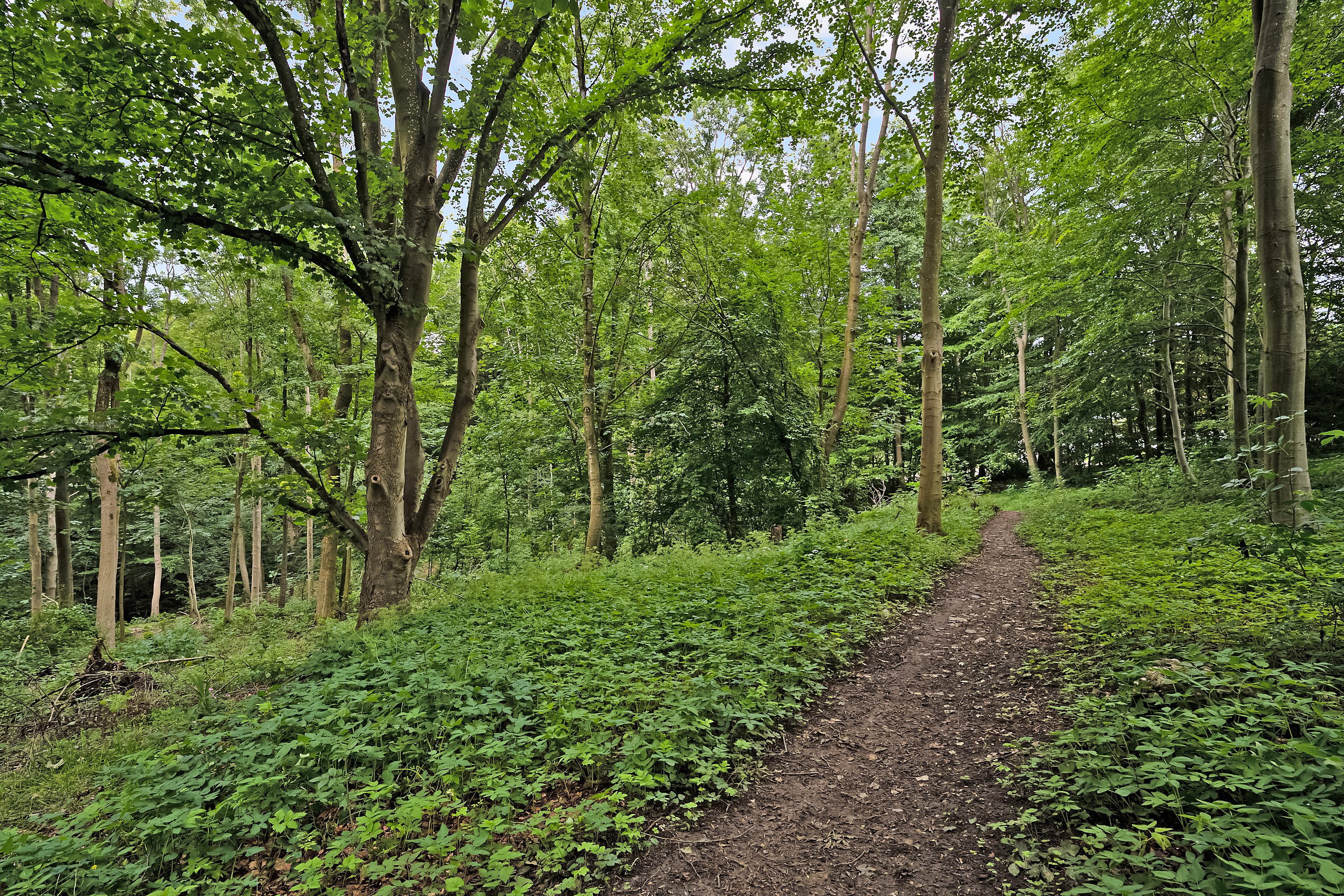 Primulavej 39, 7100 Vejle