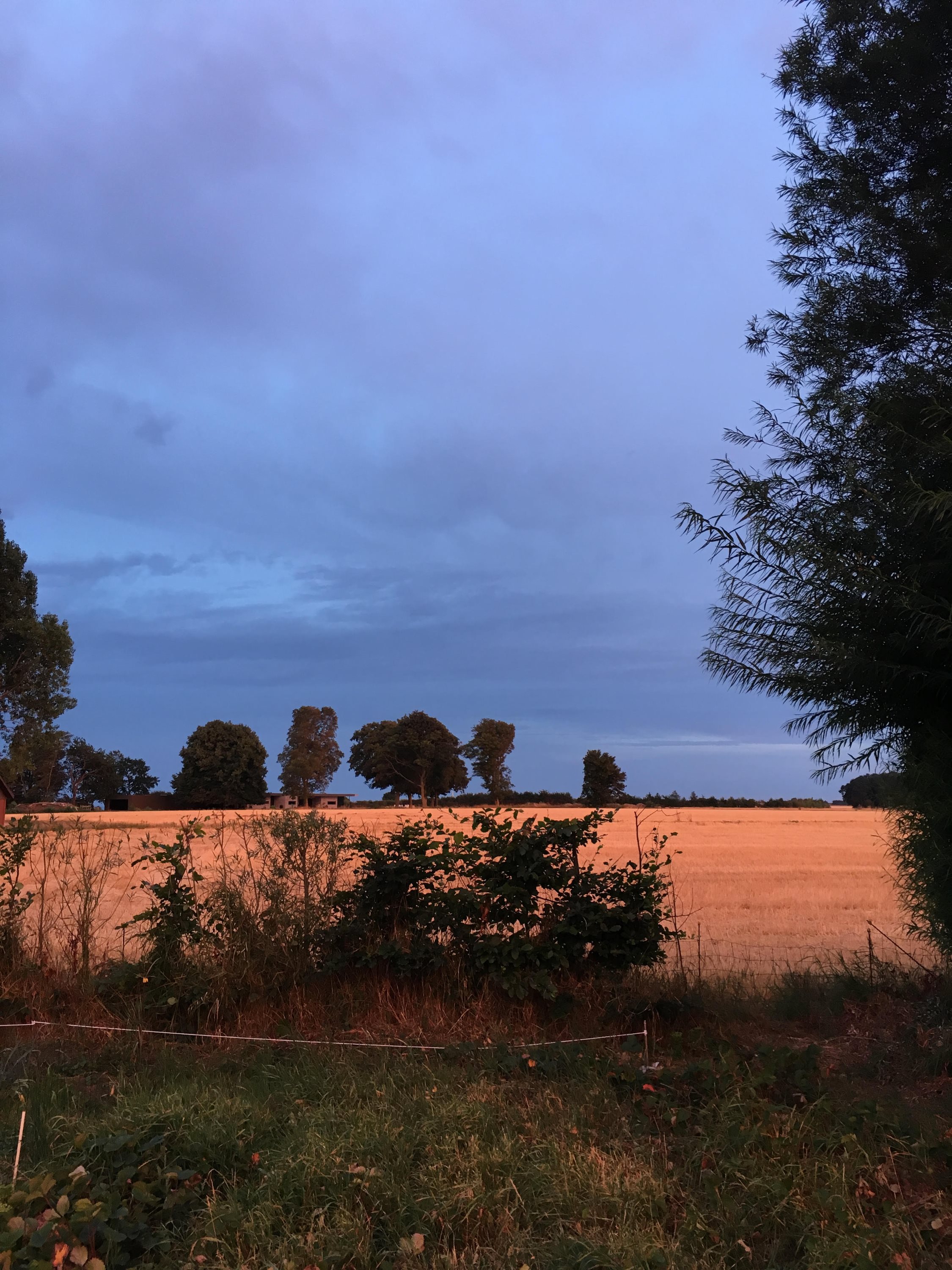 Næsvej 2, 8300 Odder