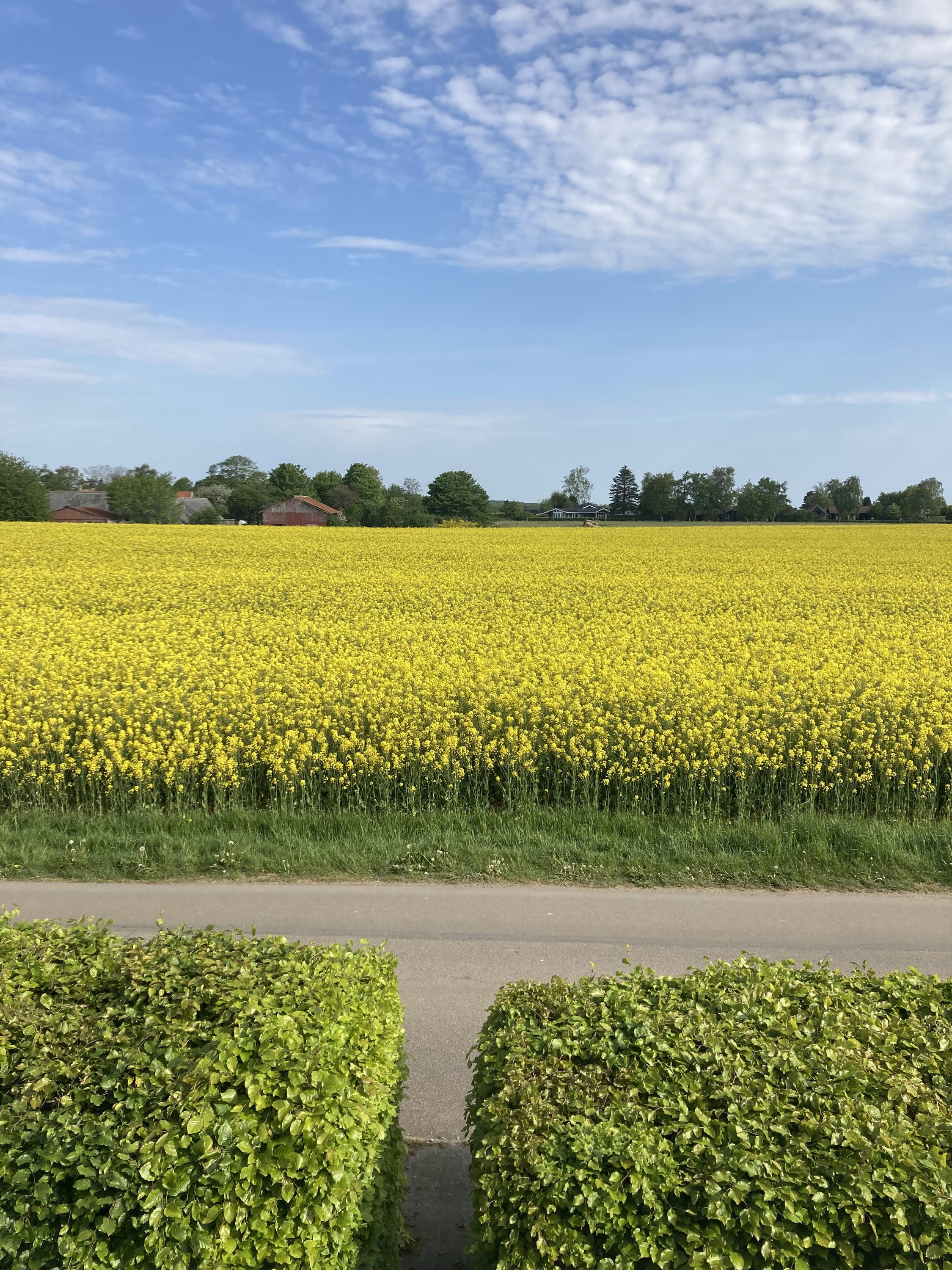 Næsvej 2, 8300 Odder