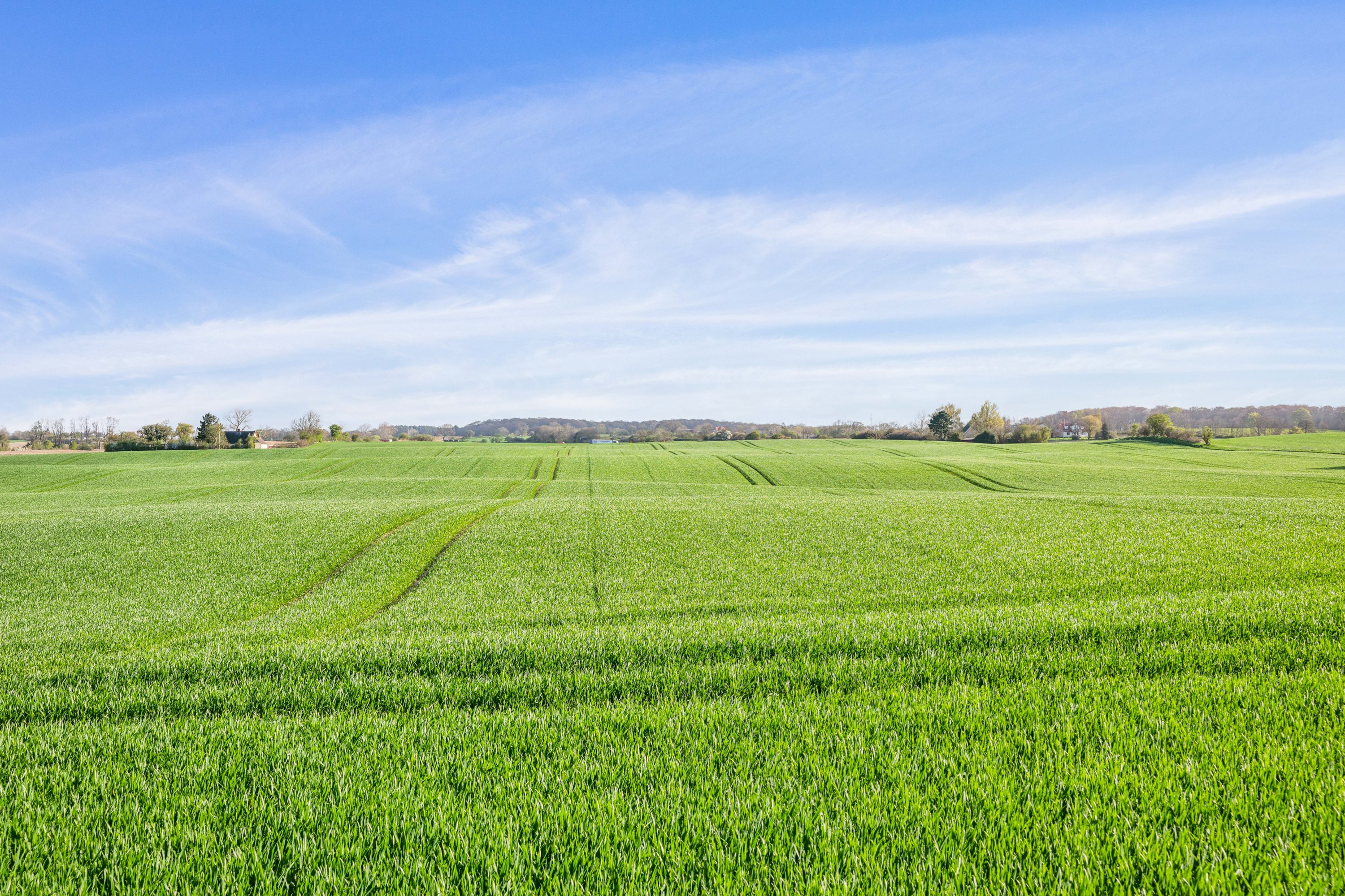 Pengeurtvej 15, 4760 Vordingborg