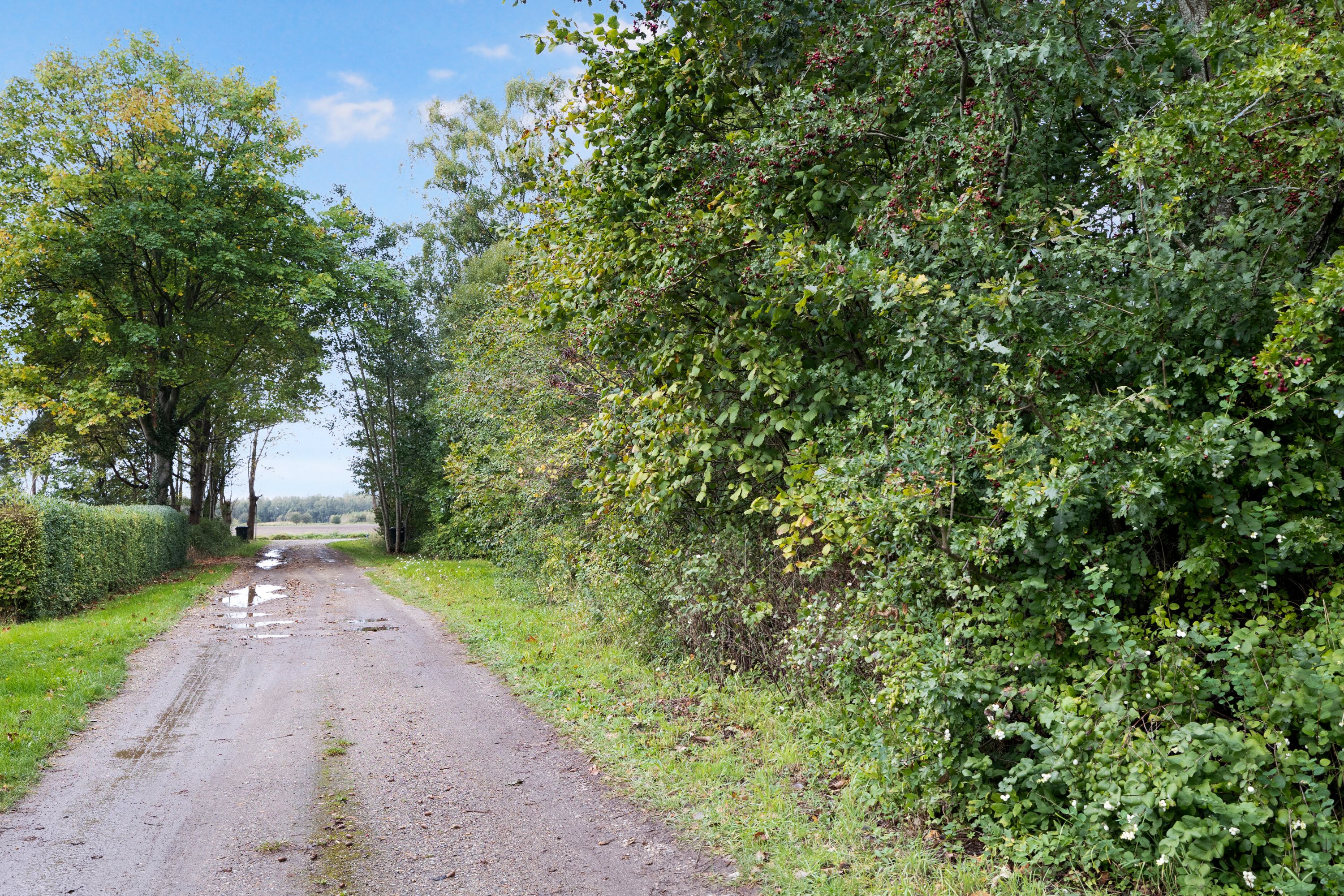 Søndervænget 5, Lammefjorden, 4571 Grevinge