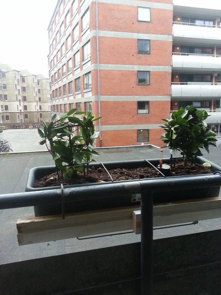 Tagensvej 47, 1. 7., 2200 København N