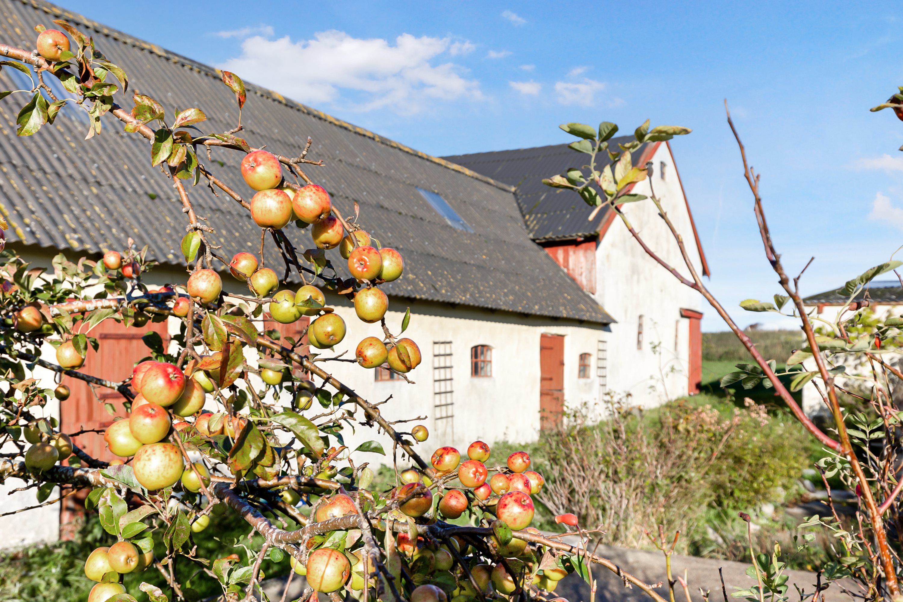 Gl Ebbeløkkevej 9, Ebbeløkke, 4500 Nykøbing Sj