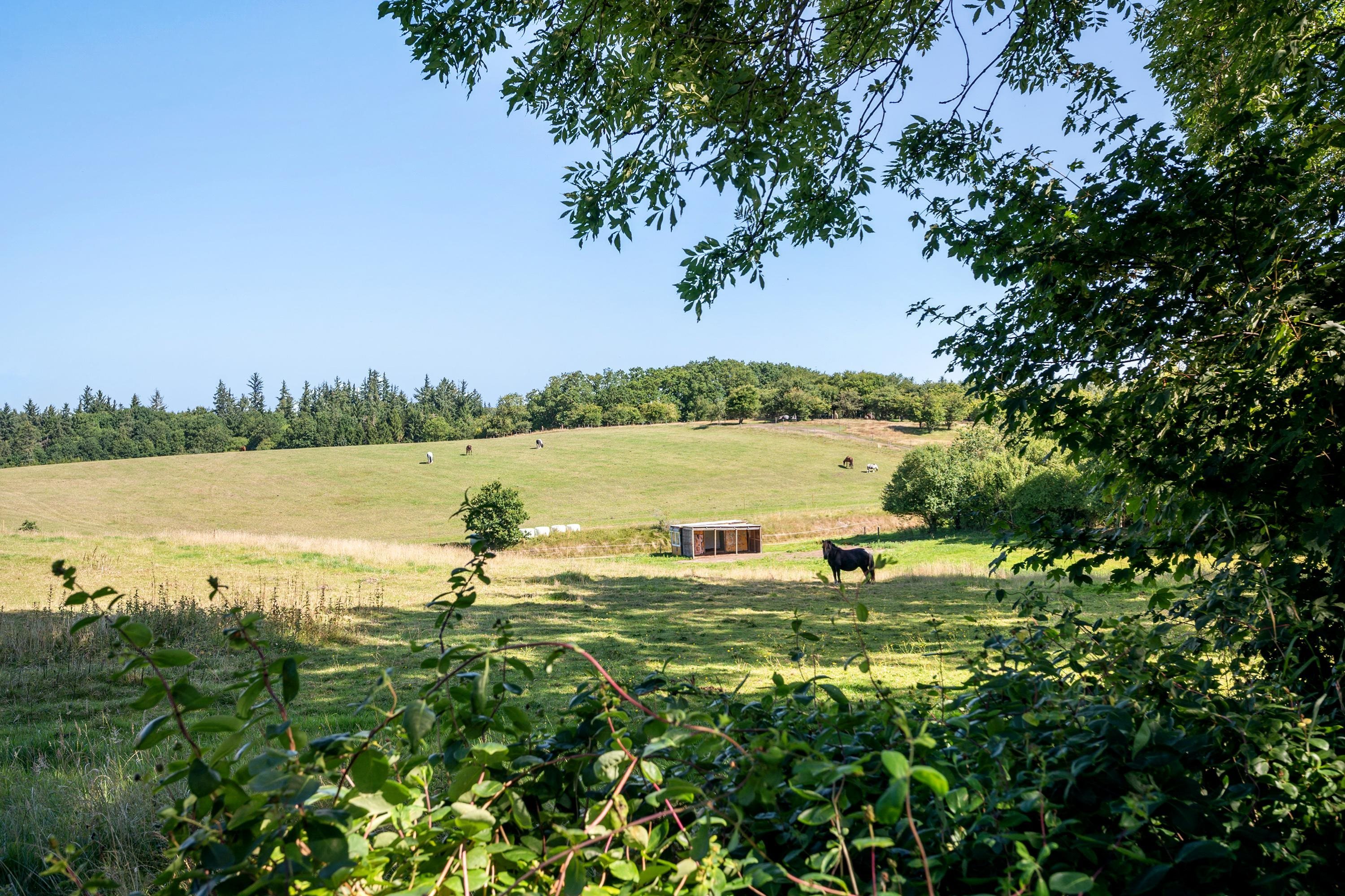 Løndalen 31, 8830 Tjele