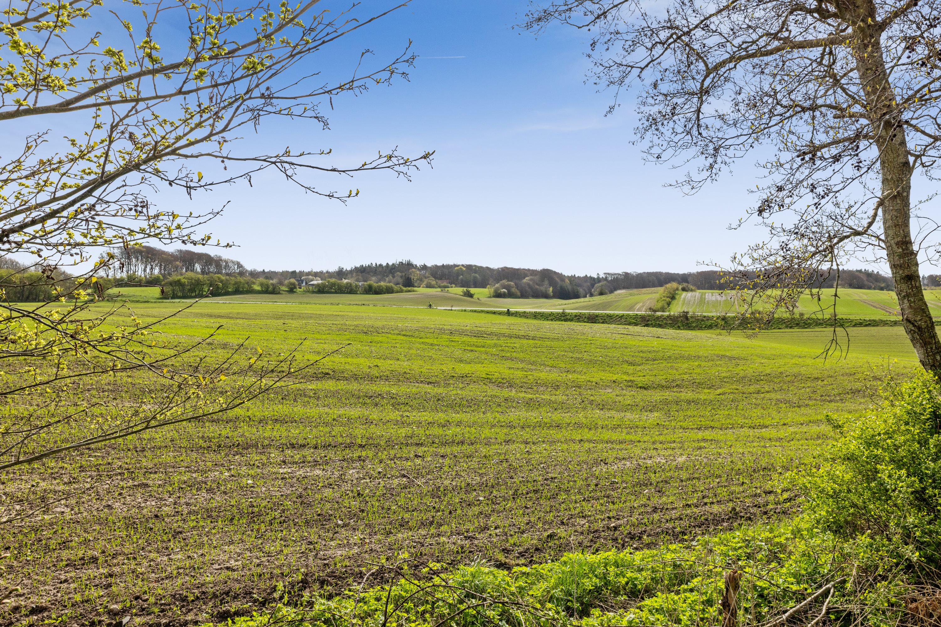 Kongenshøjvej 14, 9550 Mariager