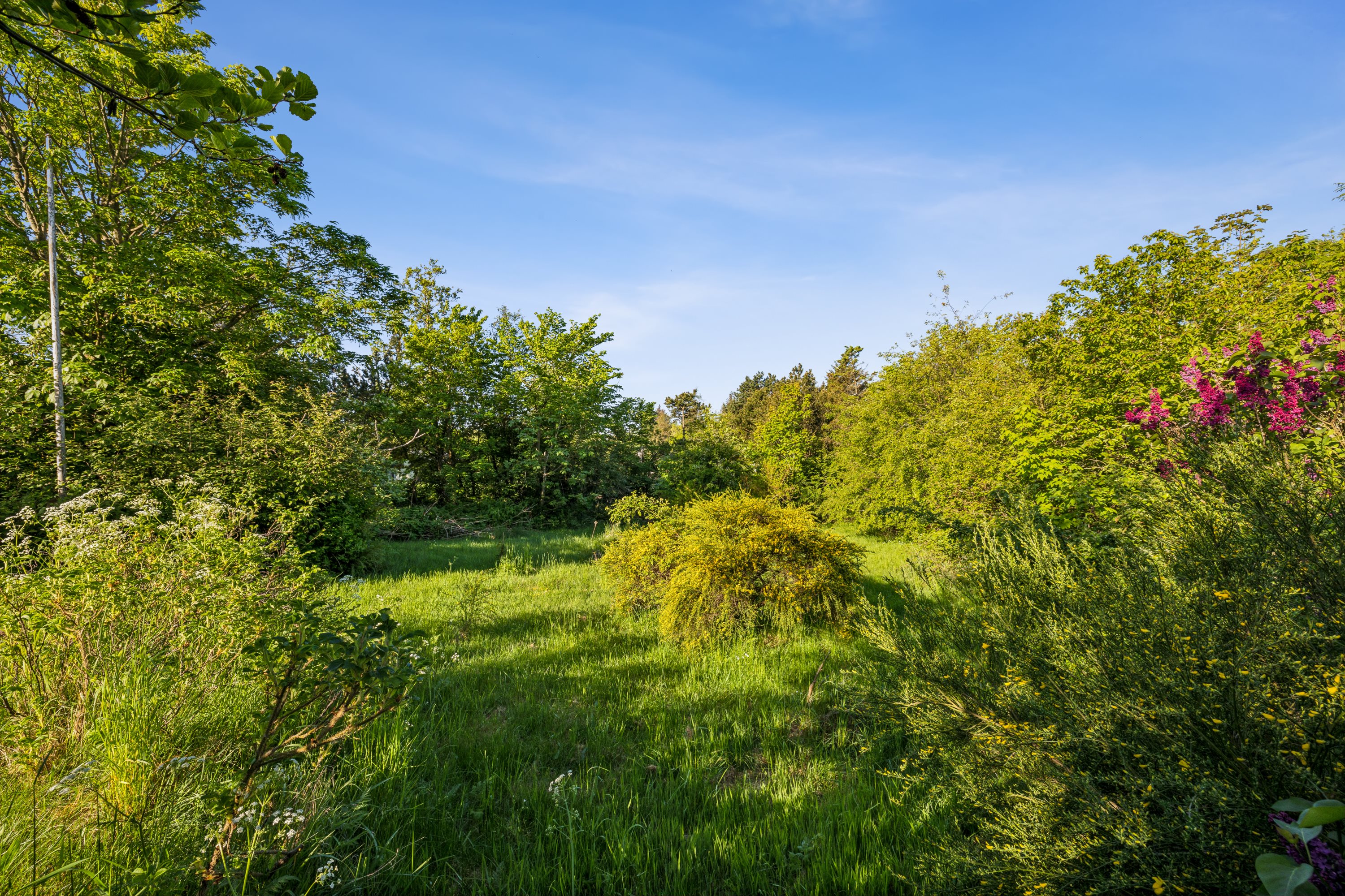 Oasevej 14, 8420 Knebel