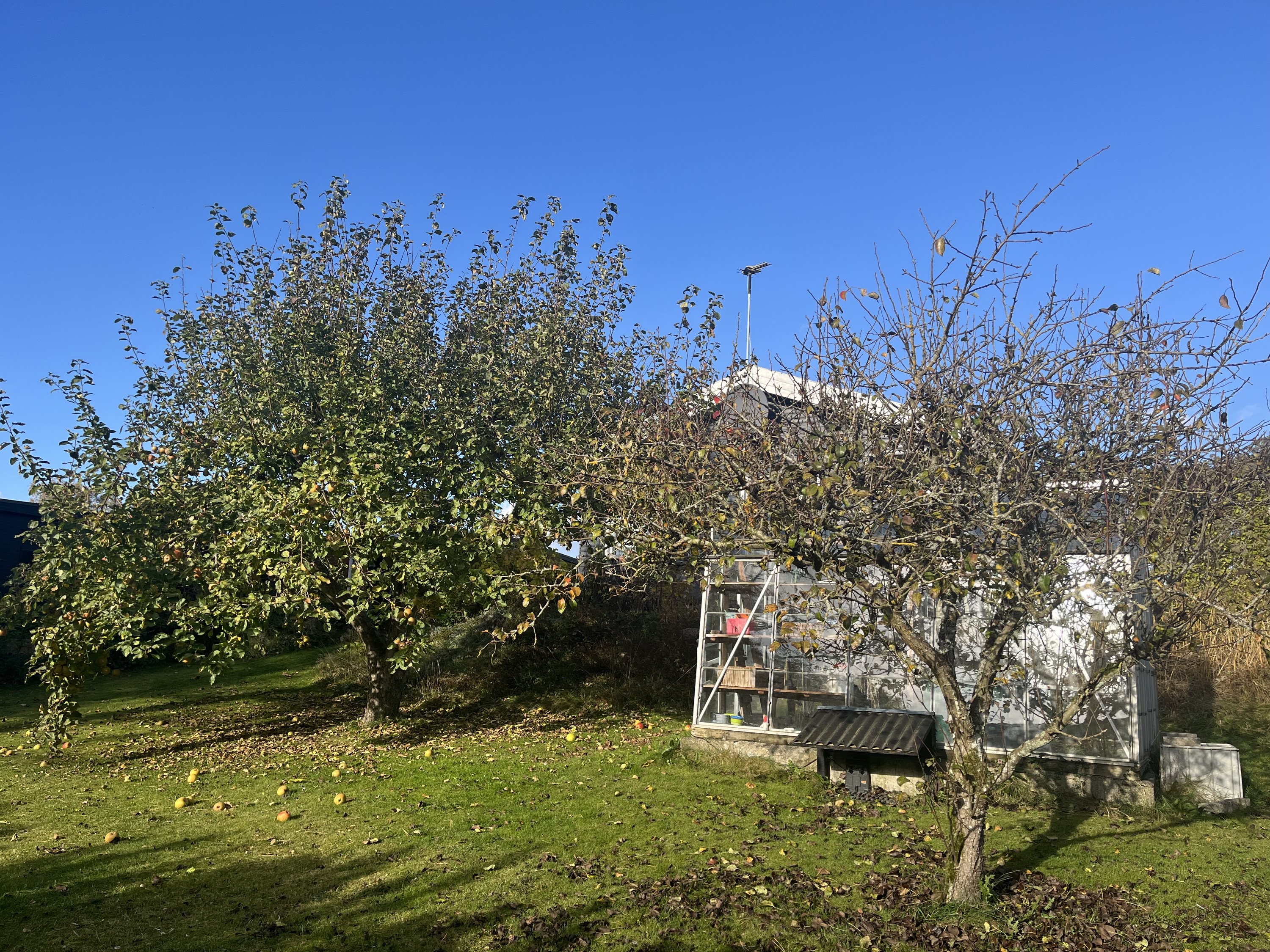Hjejlevej 5, 8250 Egå