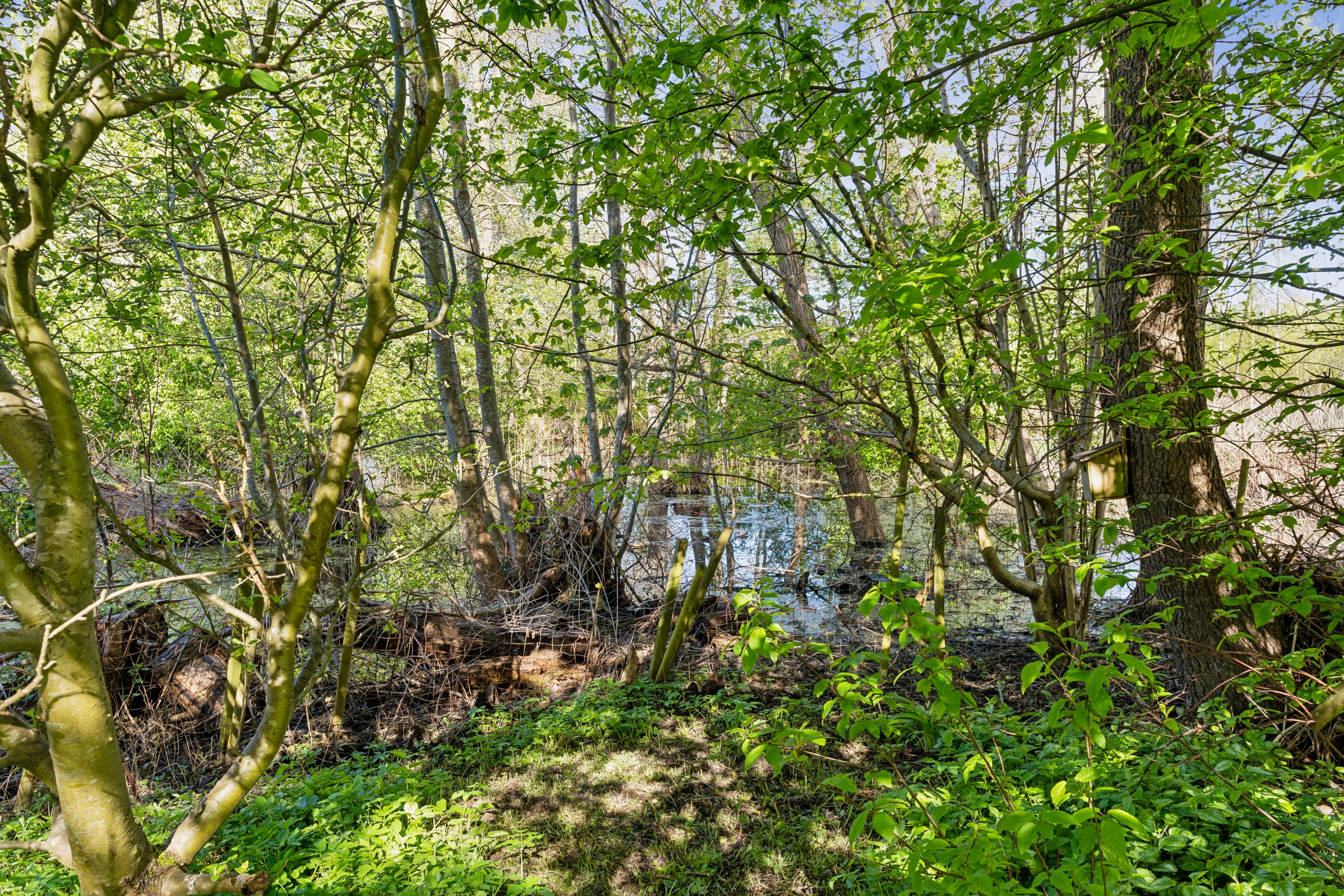 Præstevej 6, 3400 Hillerød