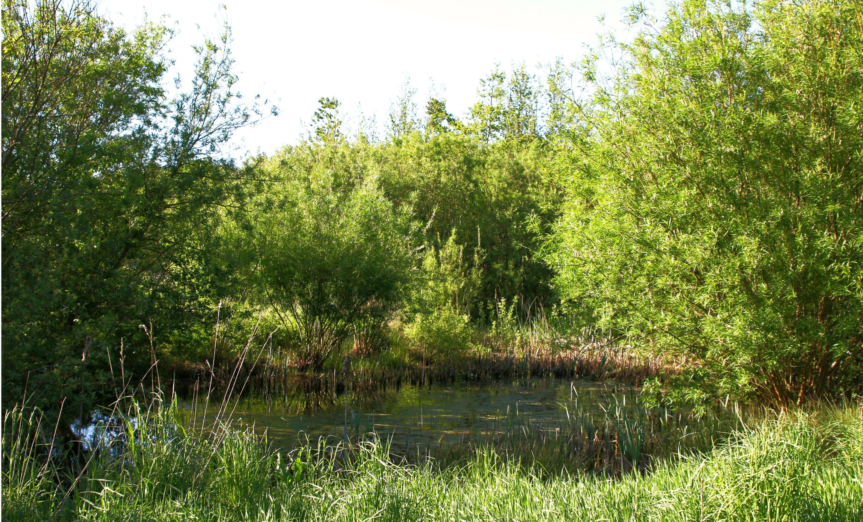 Tarmvej 160, 6893 Hemmet