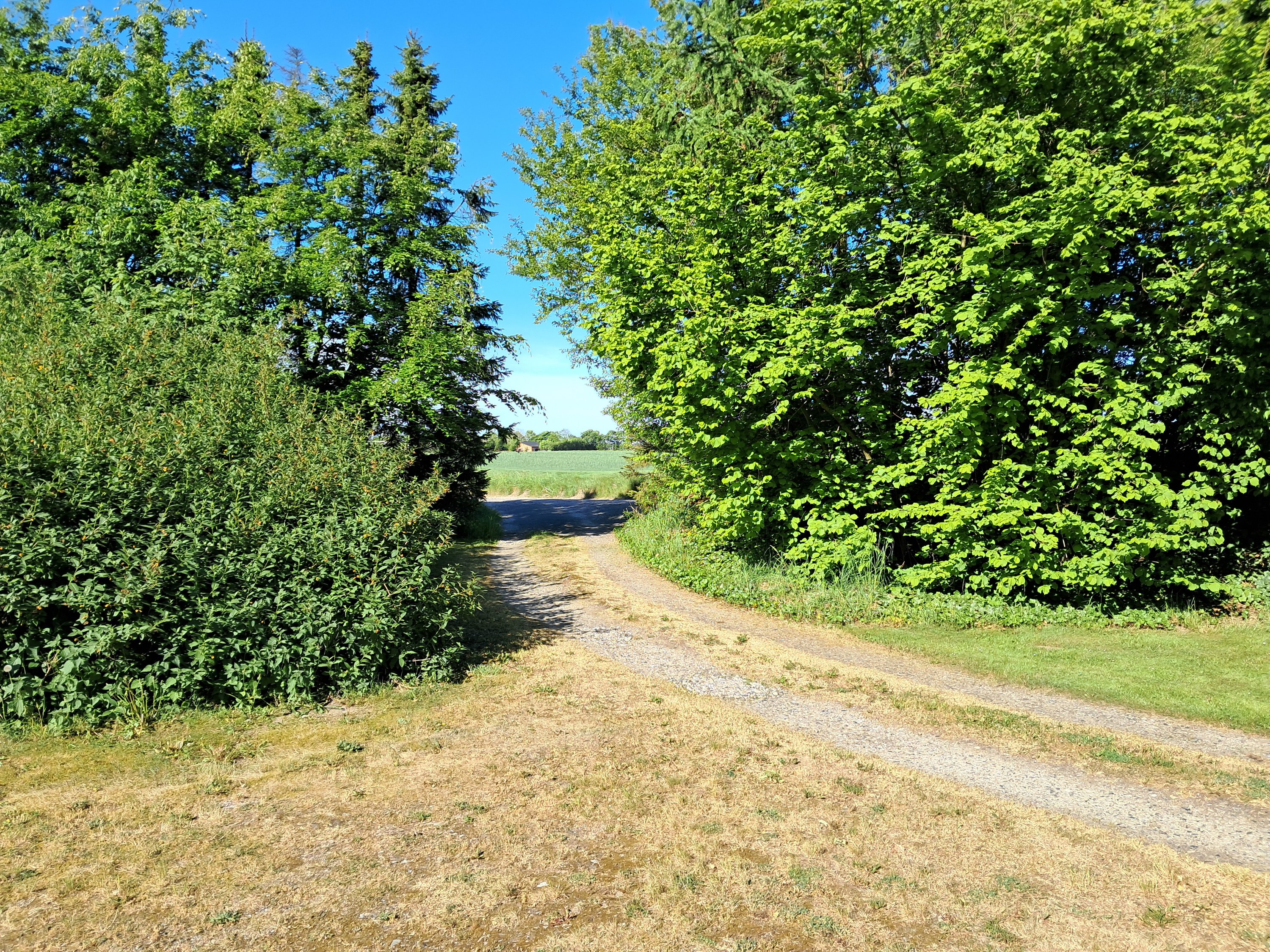 Evaslundvej 10, 9620 Aalestrup