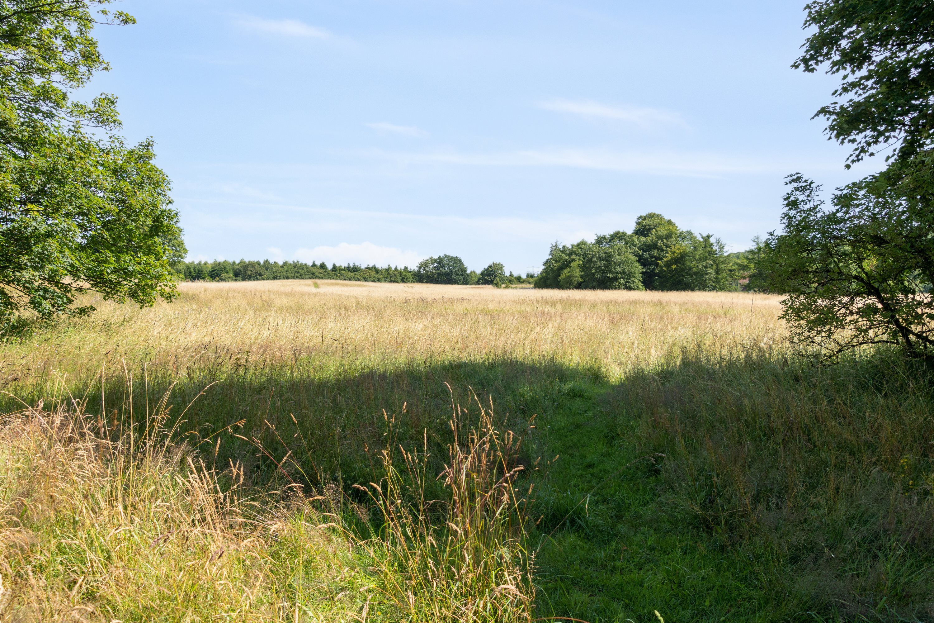 Rævebjerg 14, 6000 Kolding