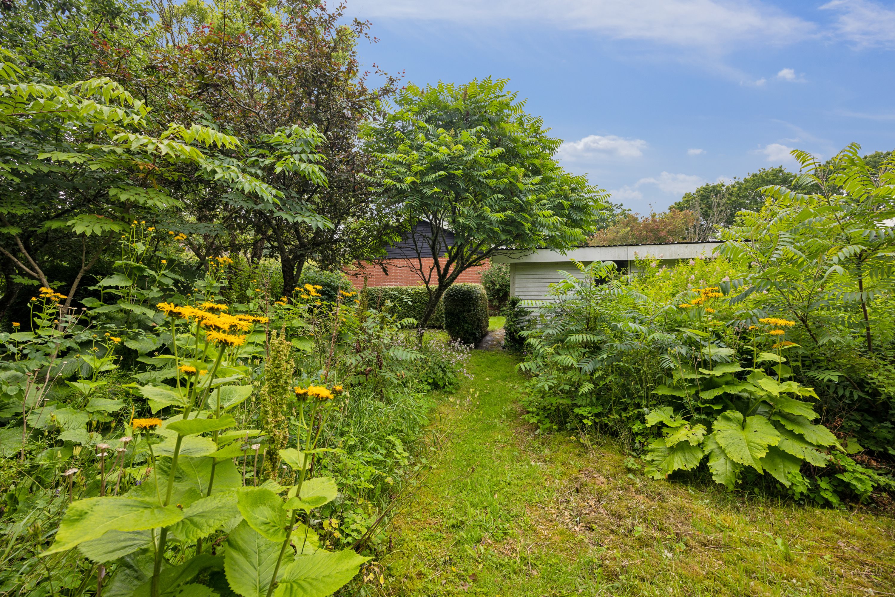 Hedegårdsvej 54, 7755 Bedsted Thy