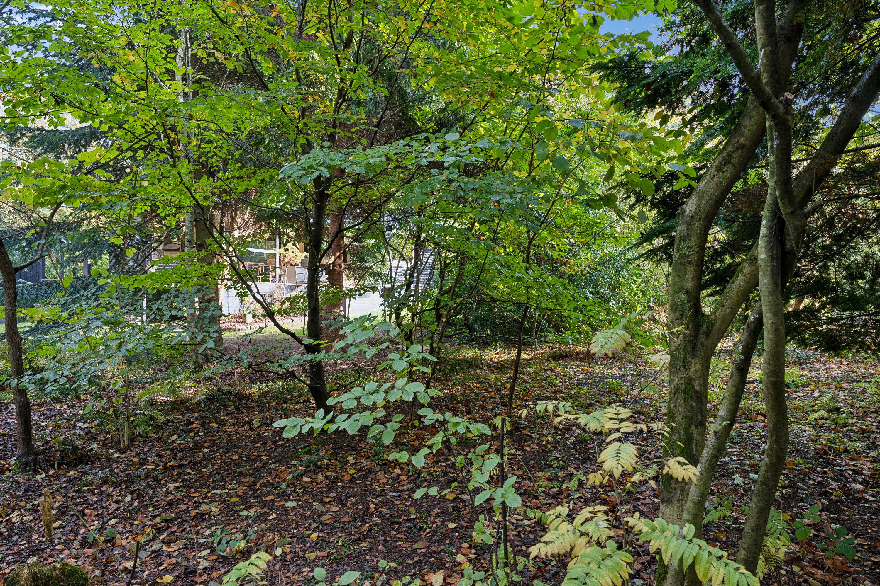 Agerhønevej 1, 8400 Ebeltoft