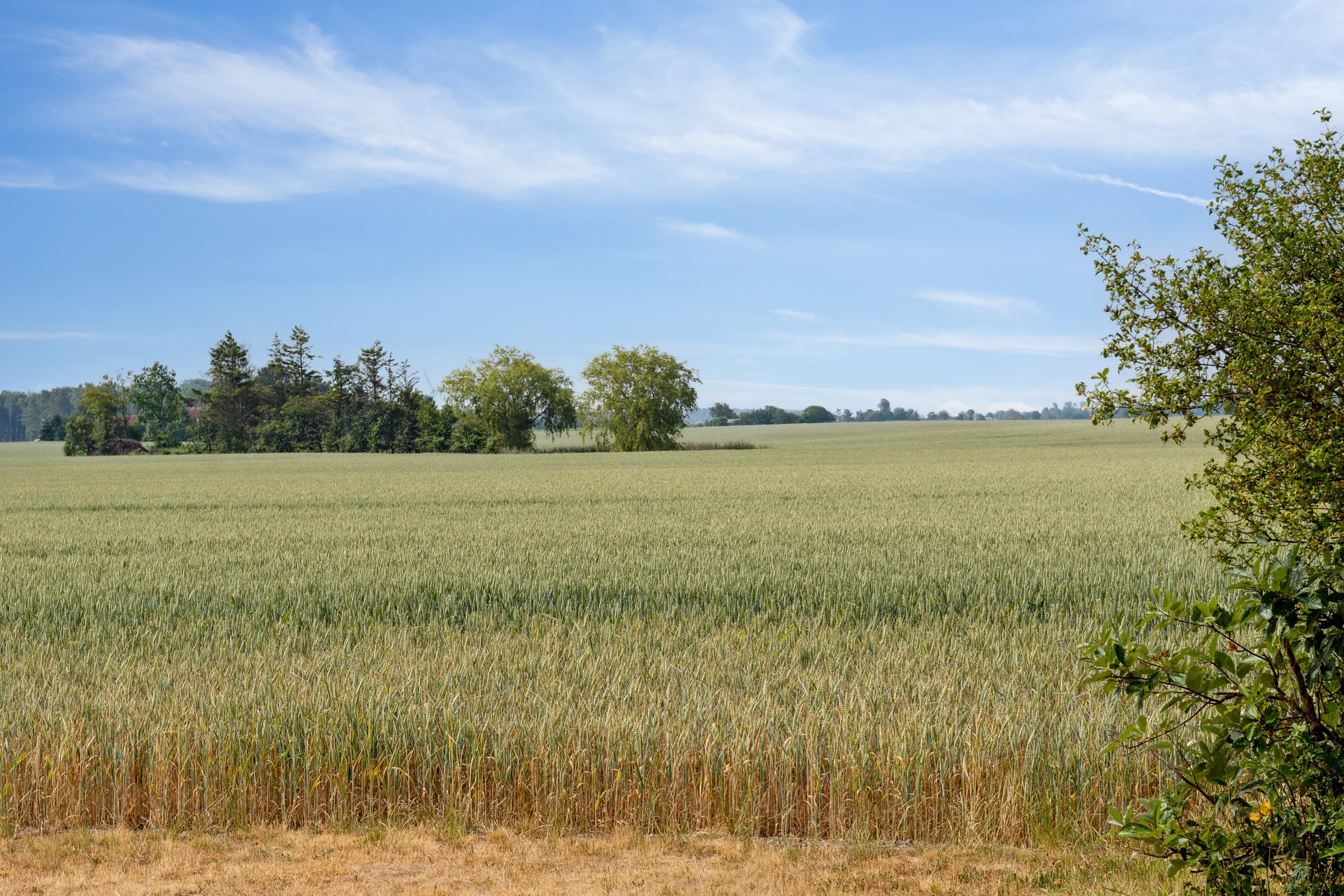 Birketvej 117, 4941 Bandholm