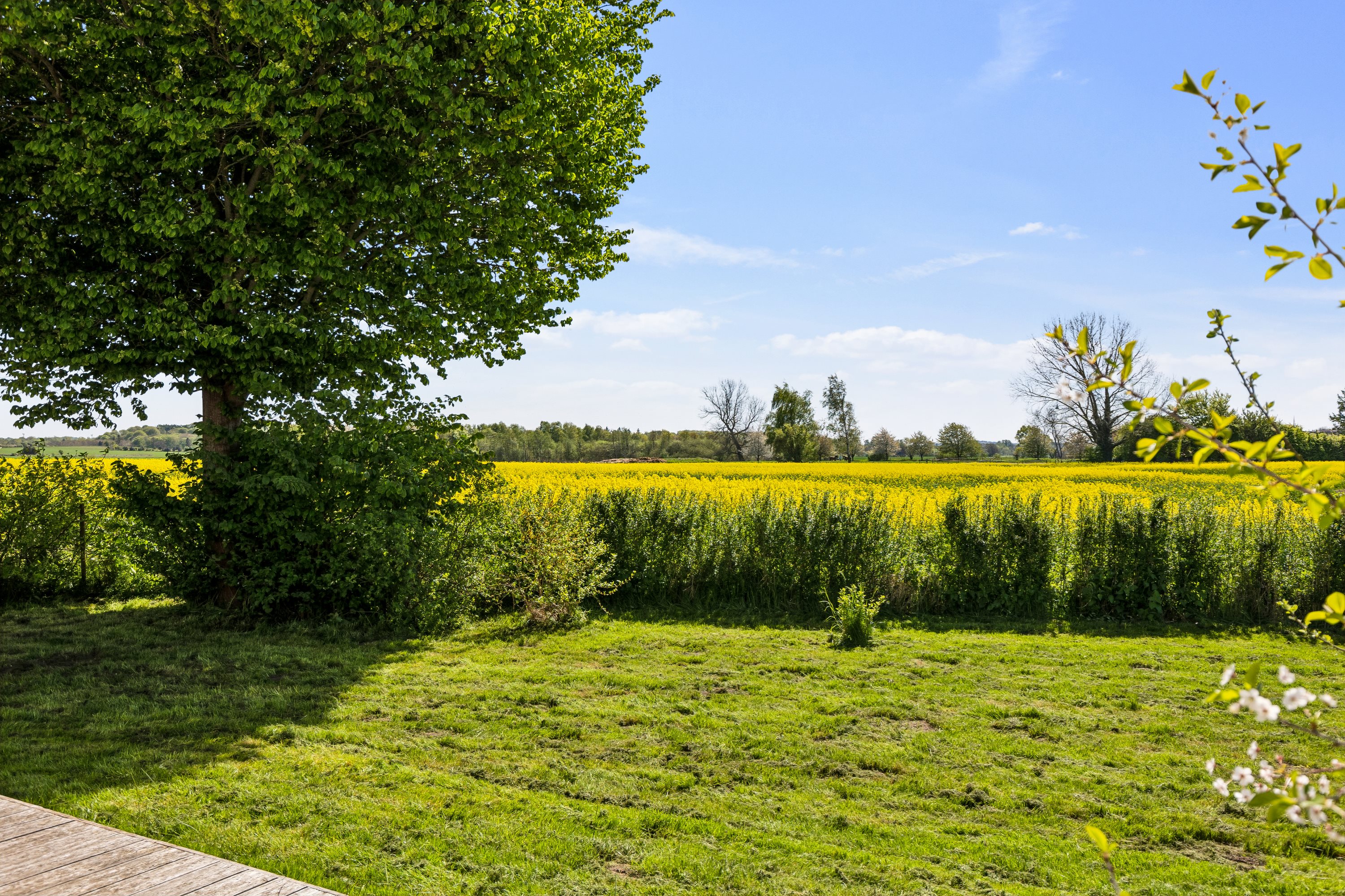Enghaven 3, 4450 Jyderup
