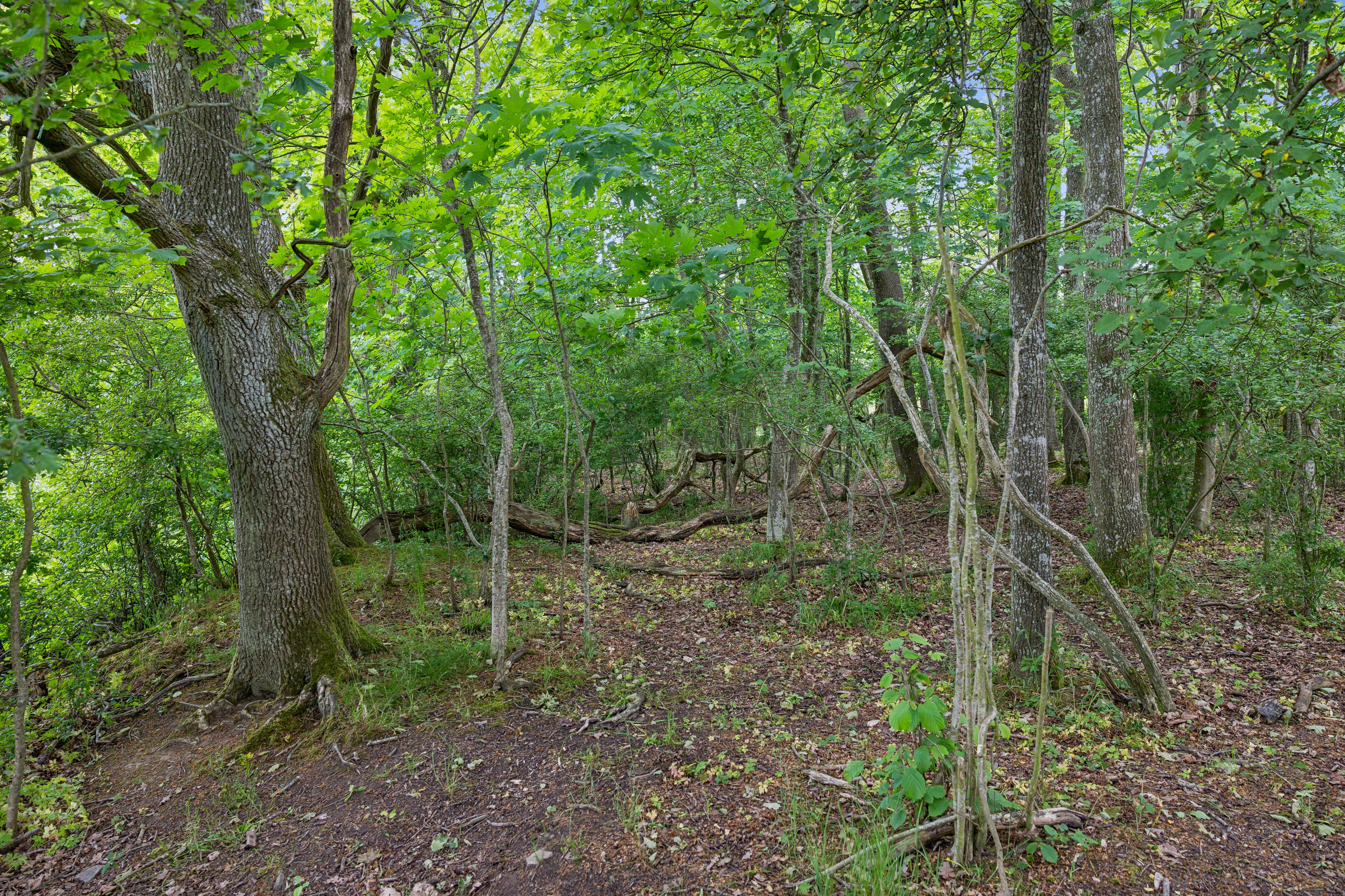 Engmosevej 2, 8732 Hovedgård