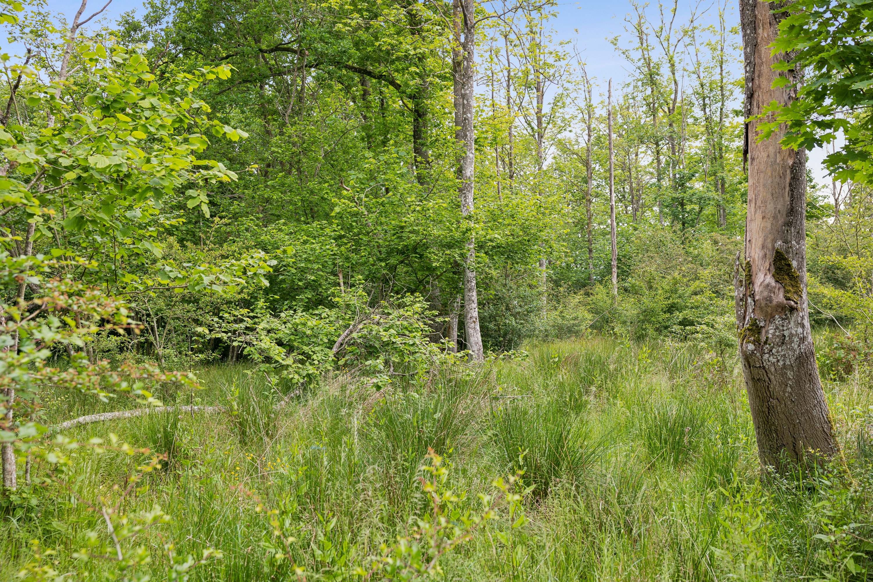 Engmosevej 2, 8732 Hovedgård