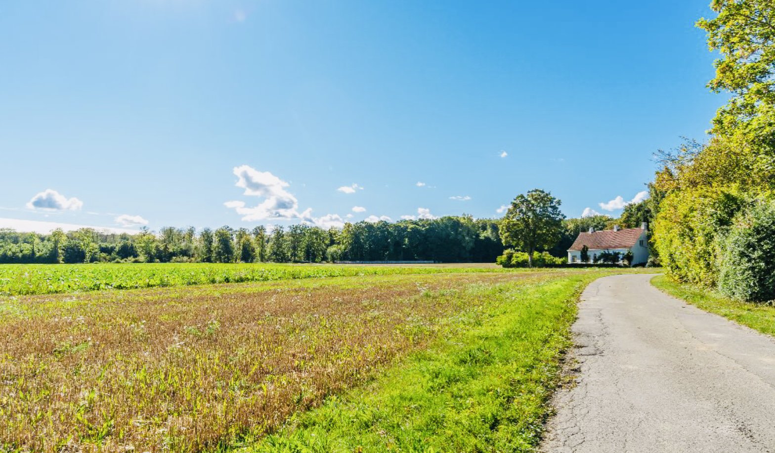 Søvængerne 38, 4953 Vesterborg