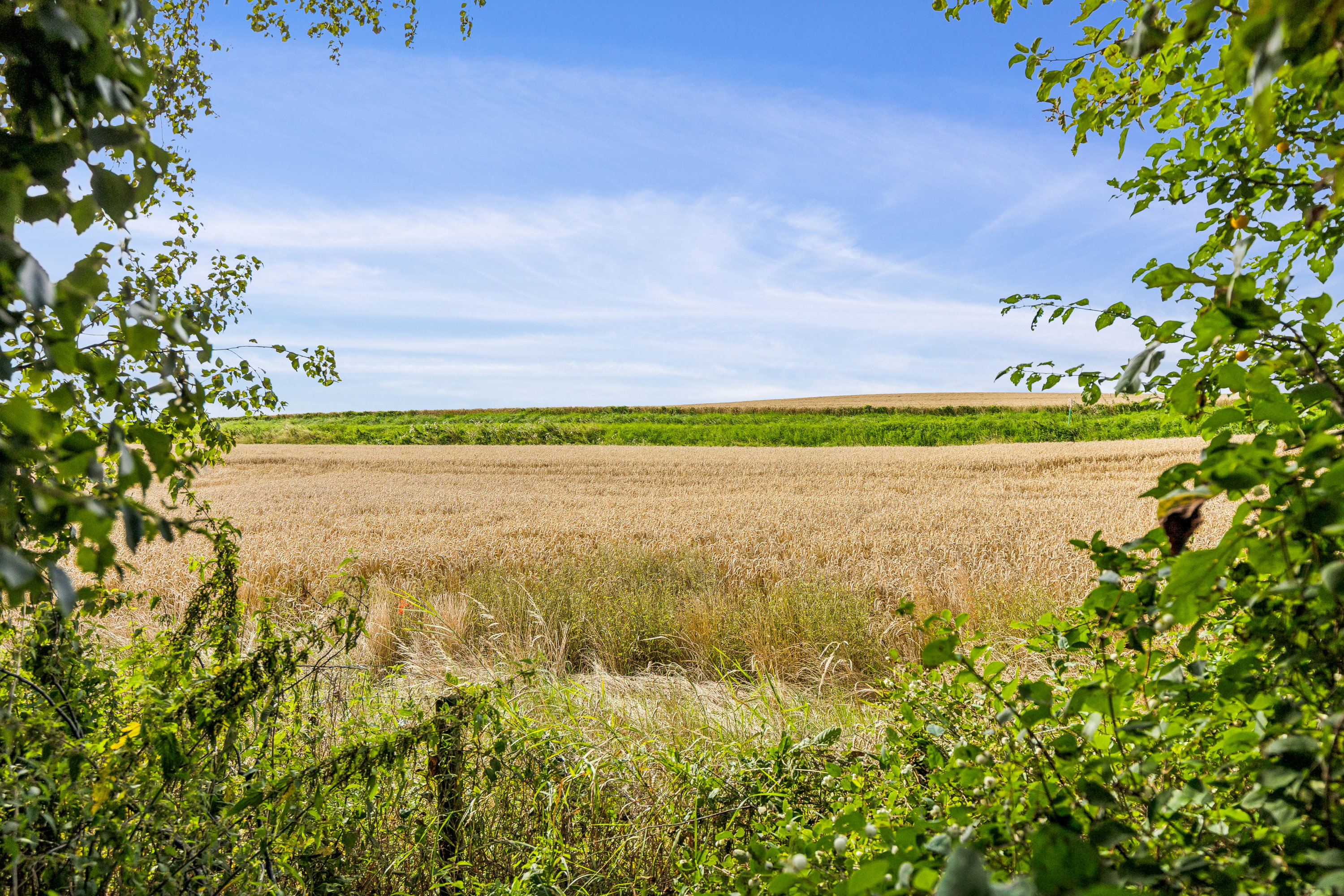 Ølesvej 2, 4400 Kalundborg