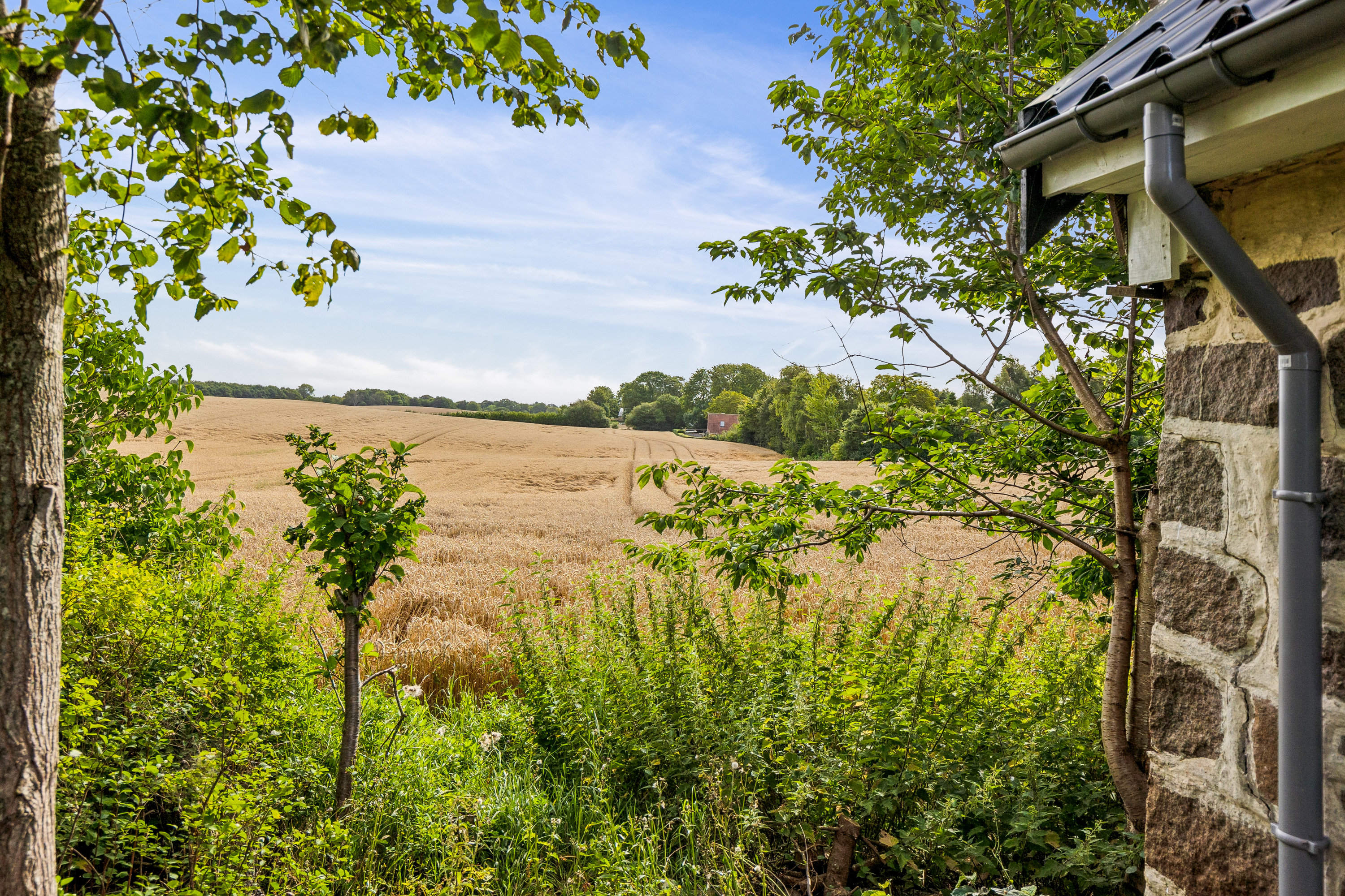 Ølesvej 2, 4400 Kalundborg