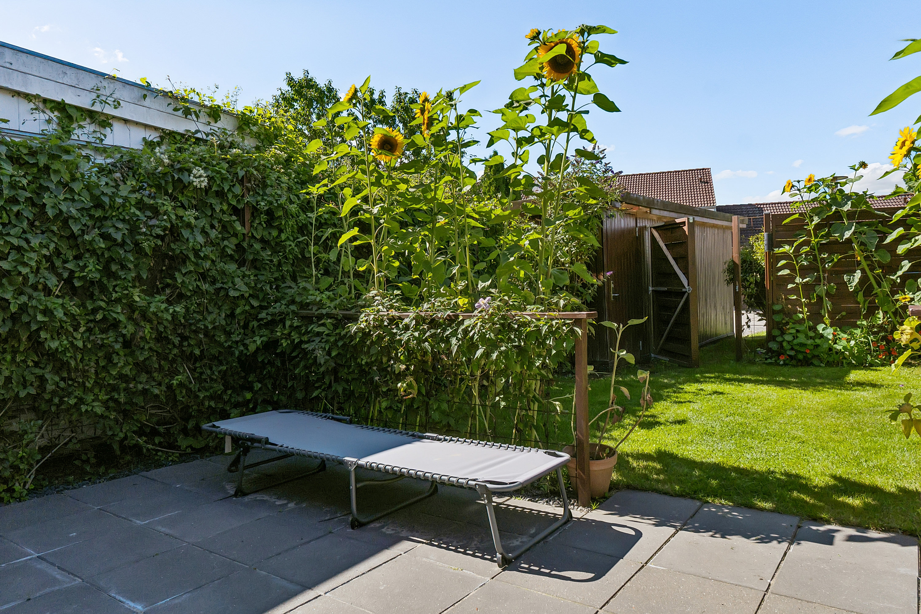 Nytoften 8, 5220 Odense SØ