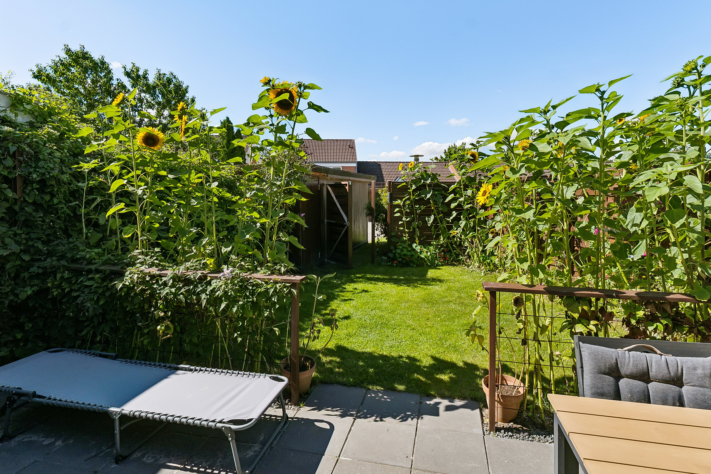 Nytoften 8, 5220 Odense SØ
