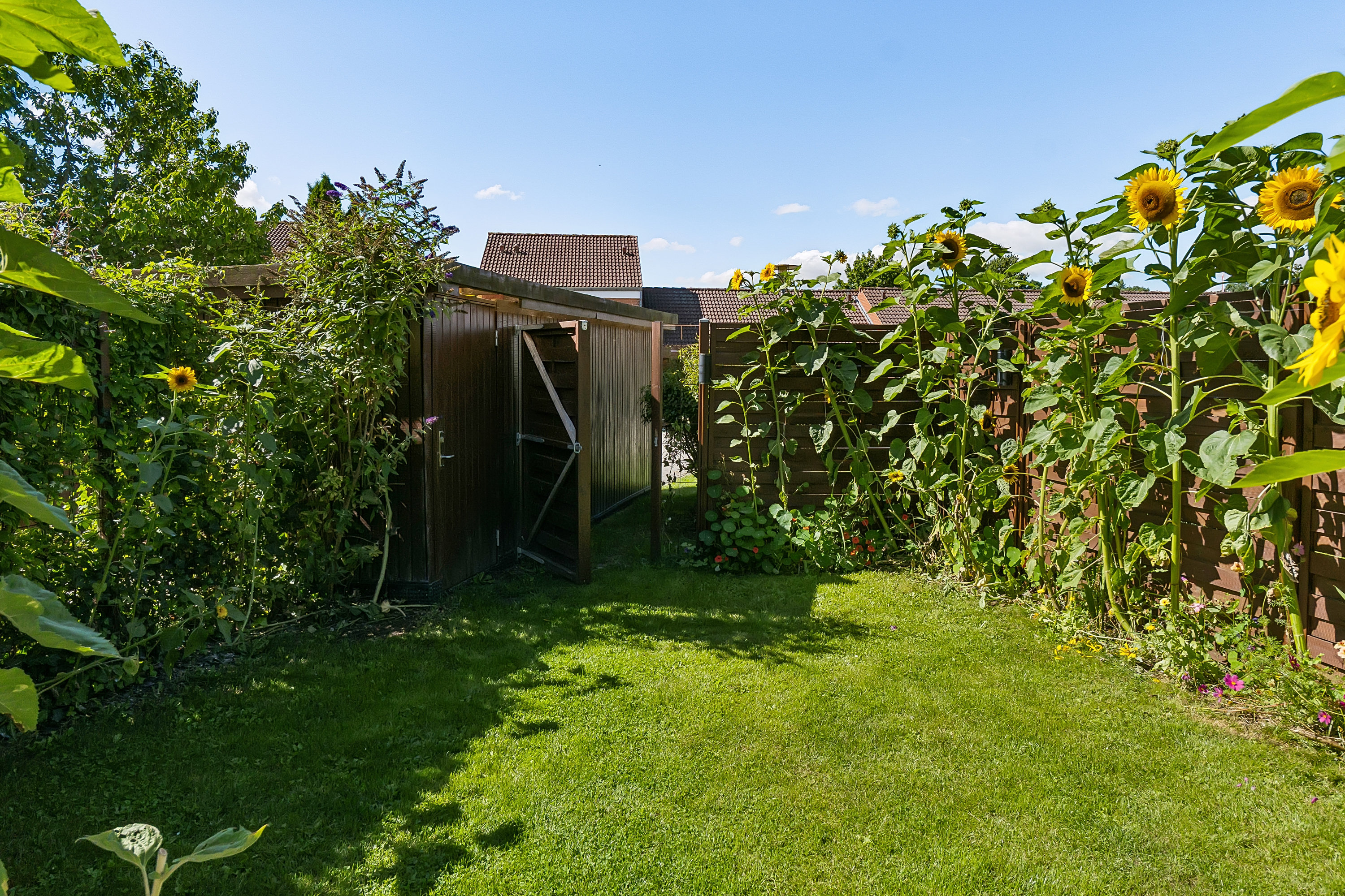 Nytoften 8, 5220 Odense SØ