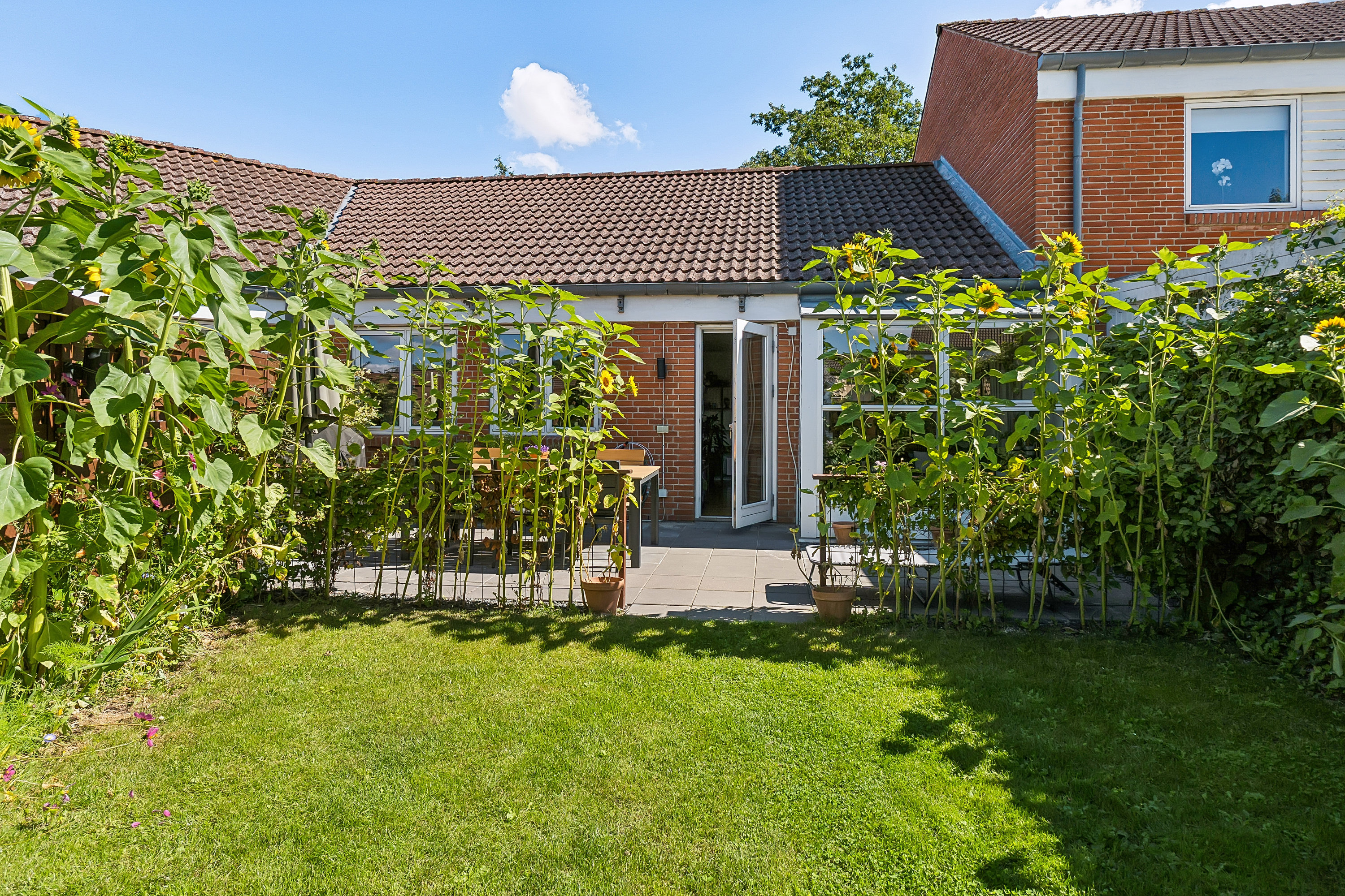 Nytoften 8, 5220 Odense SØ