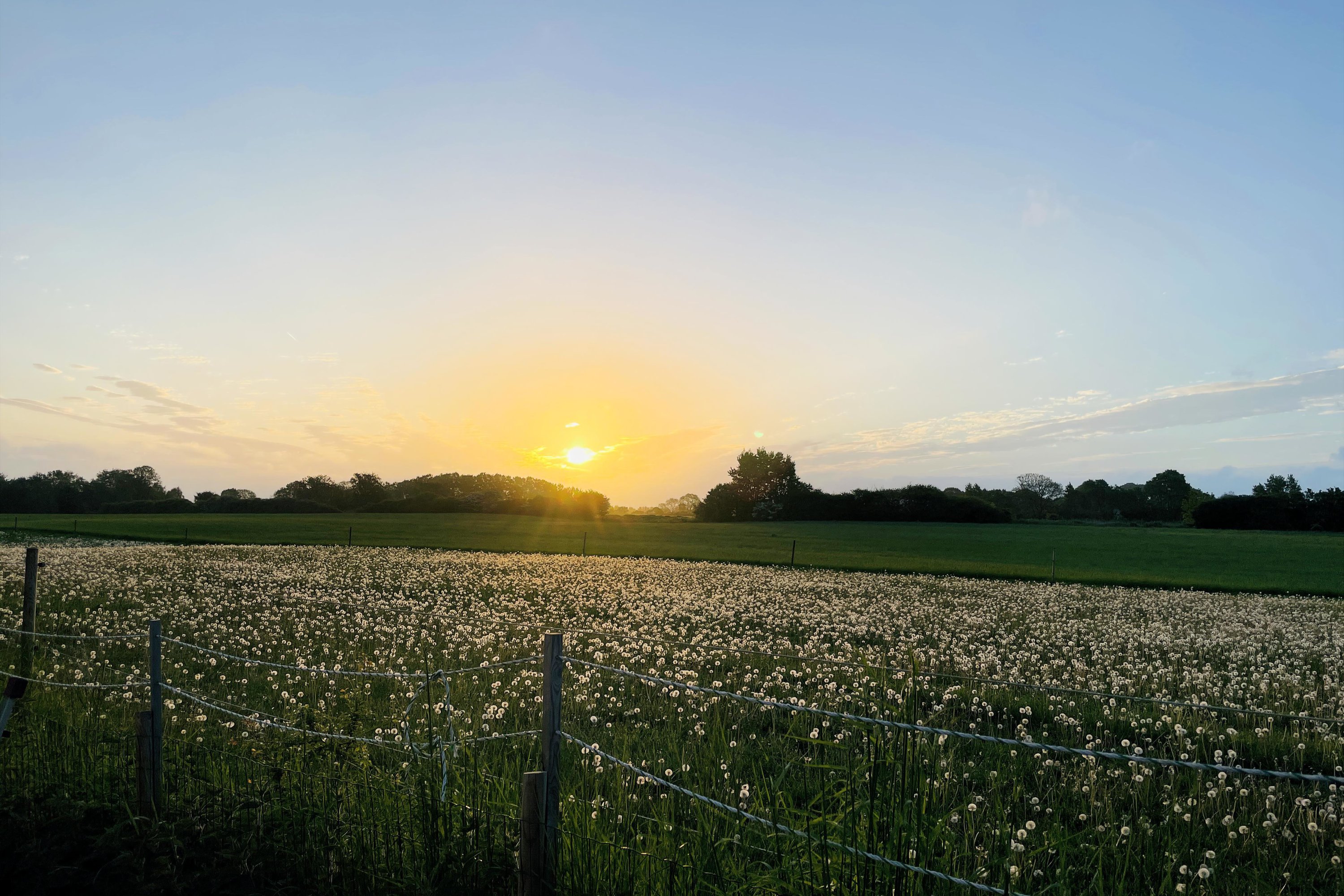 Egebjergvej 253, 4500 Nykøbing Sj