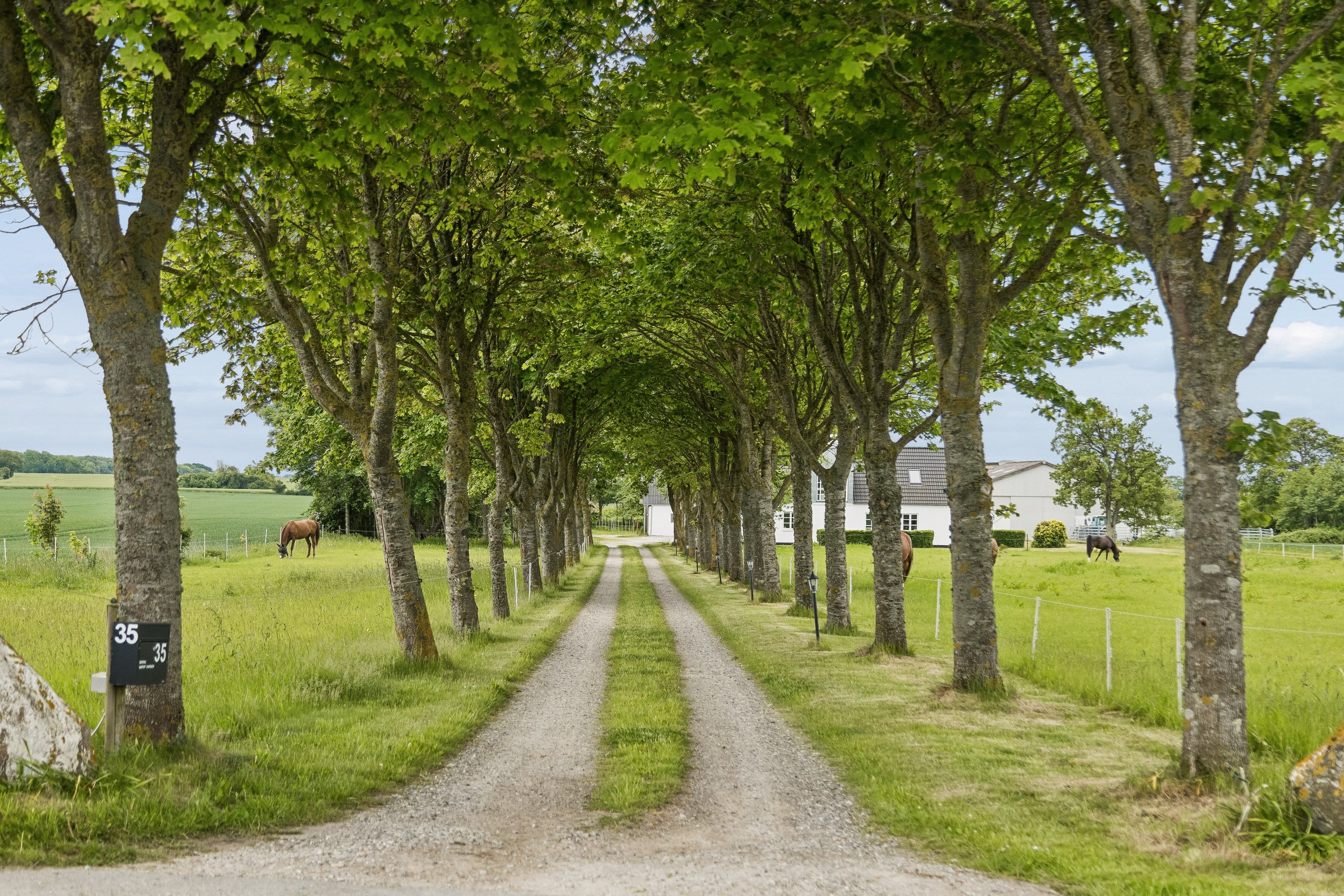 Lerdrupvej 35, 8300 Odder