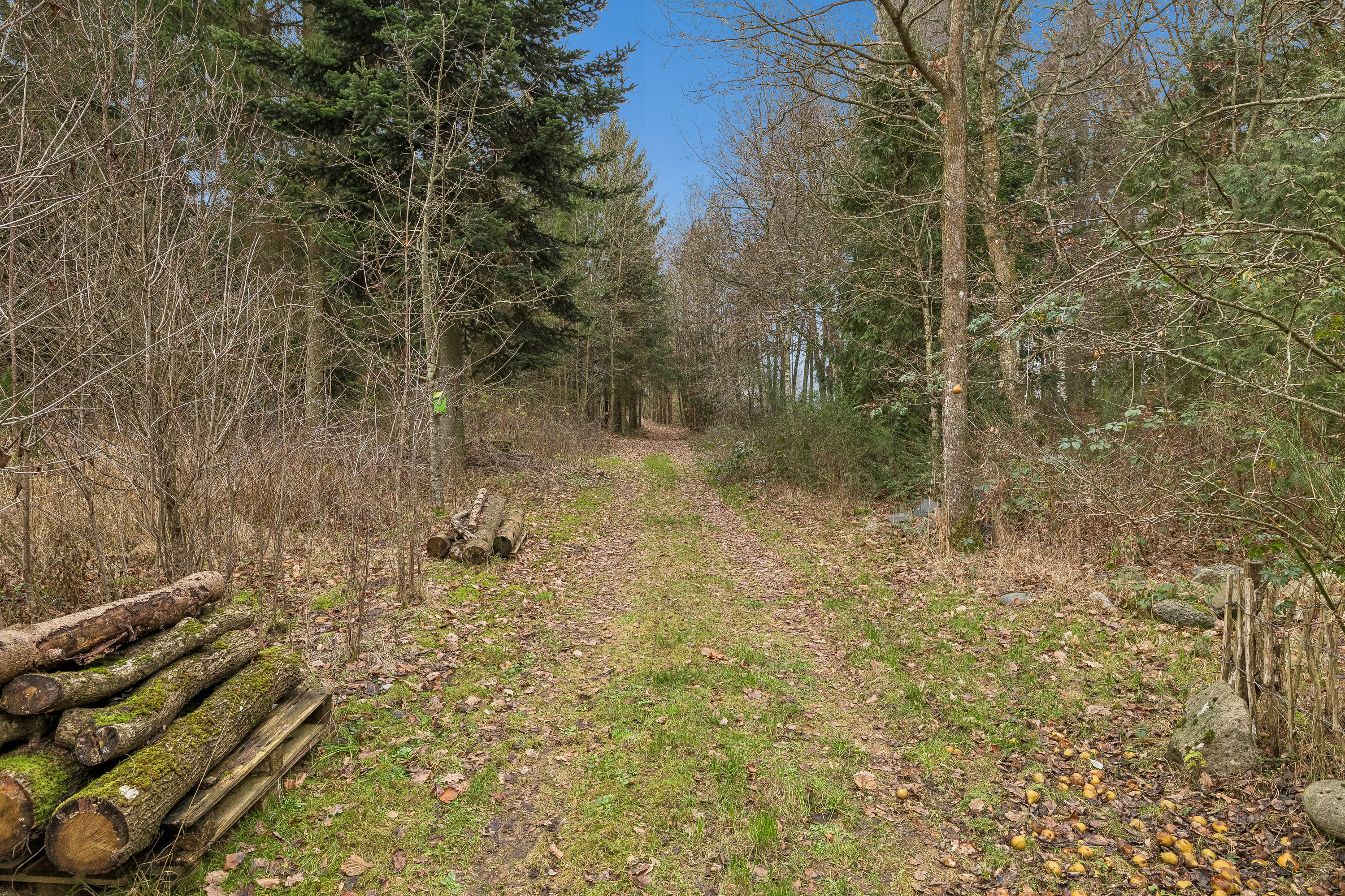 Kringelen 7, 8560 Kolind