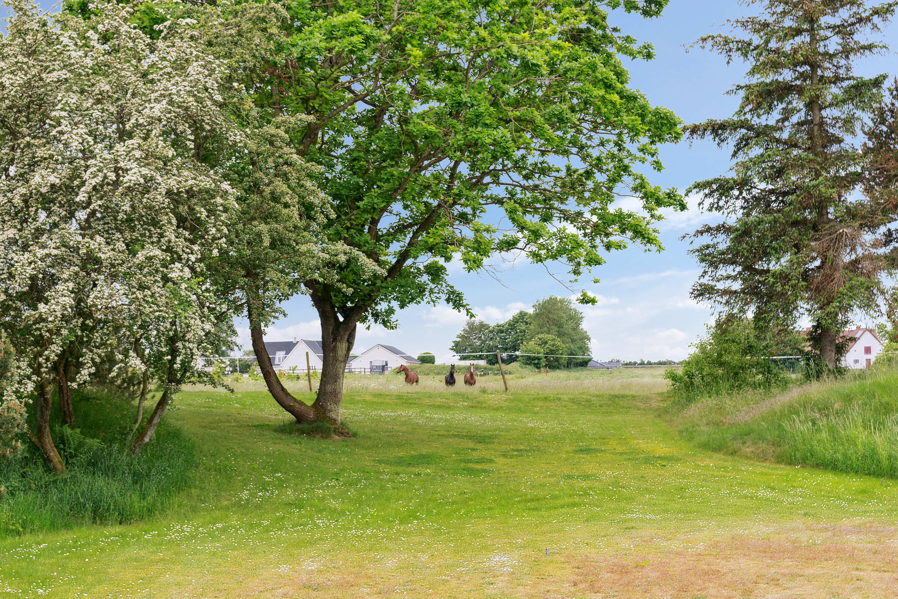 Blåbærvej 30, 8500 Grenaa