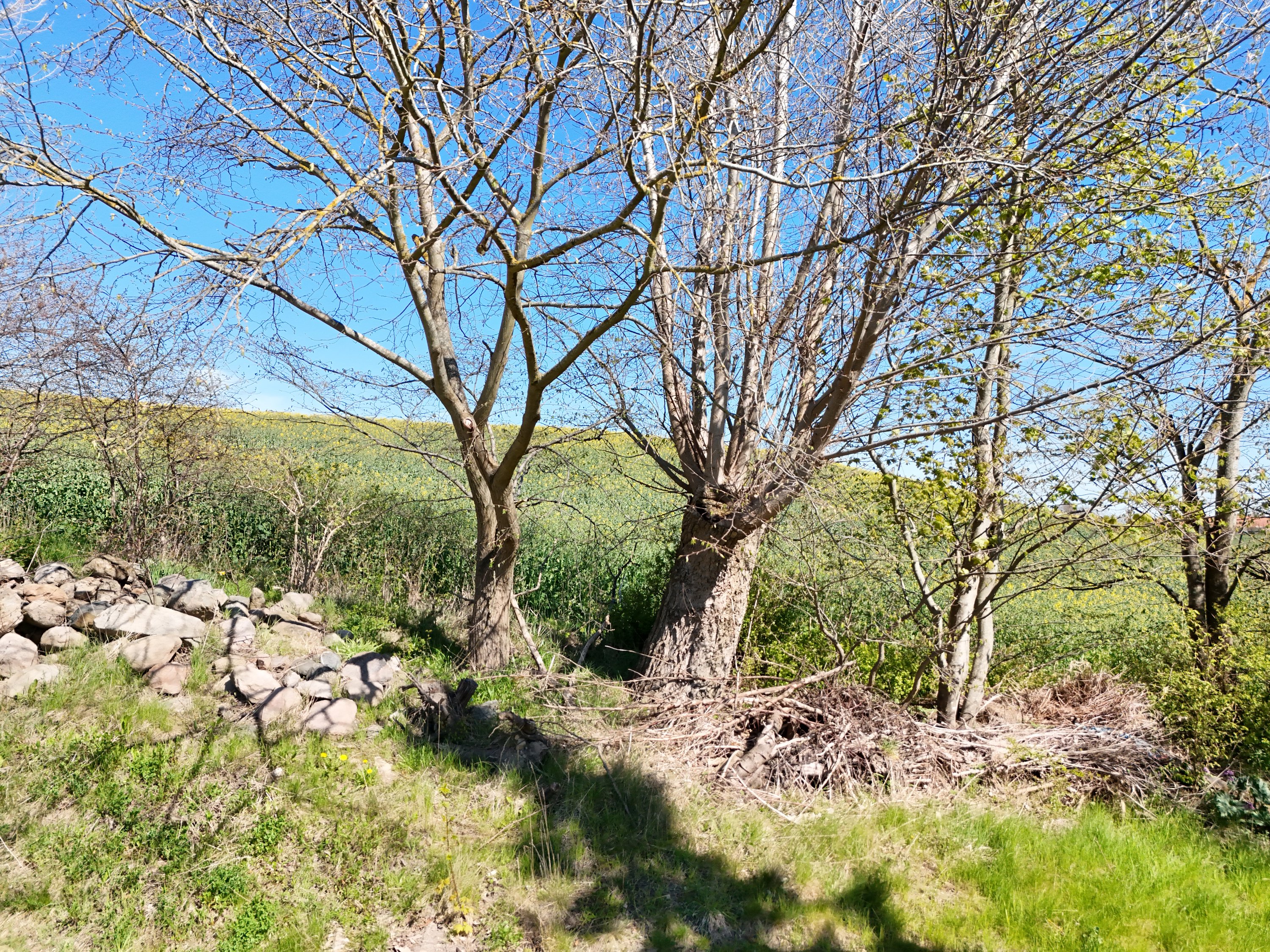 Esby Bygade 11, 8420 Knebel