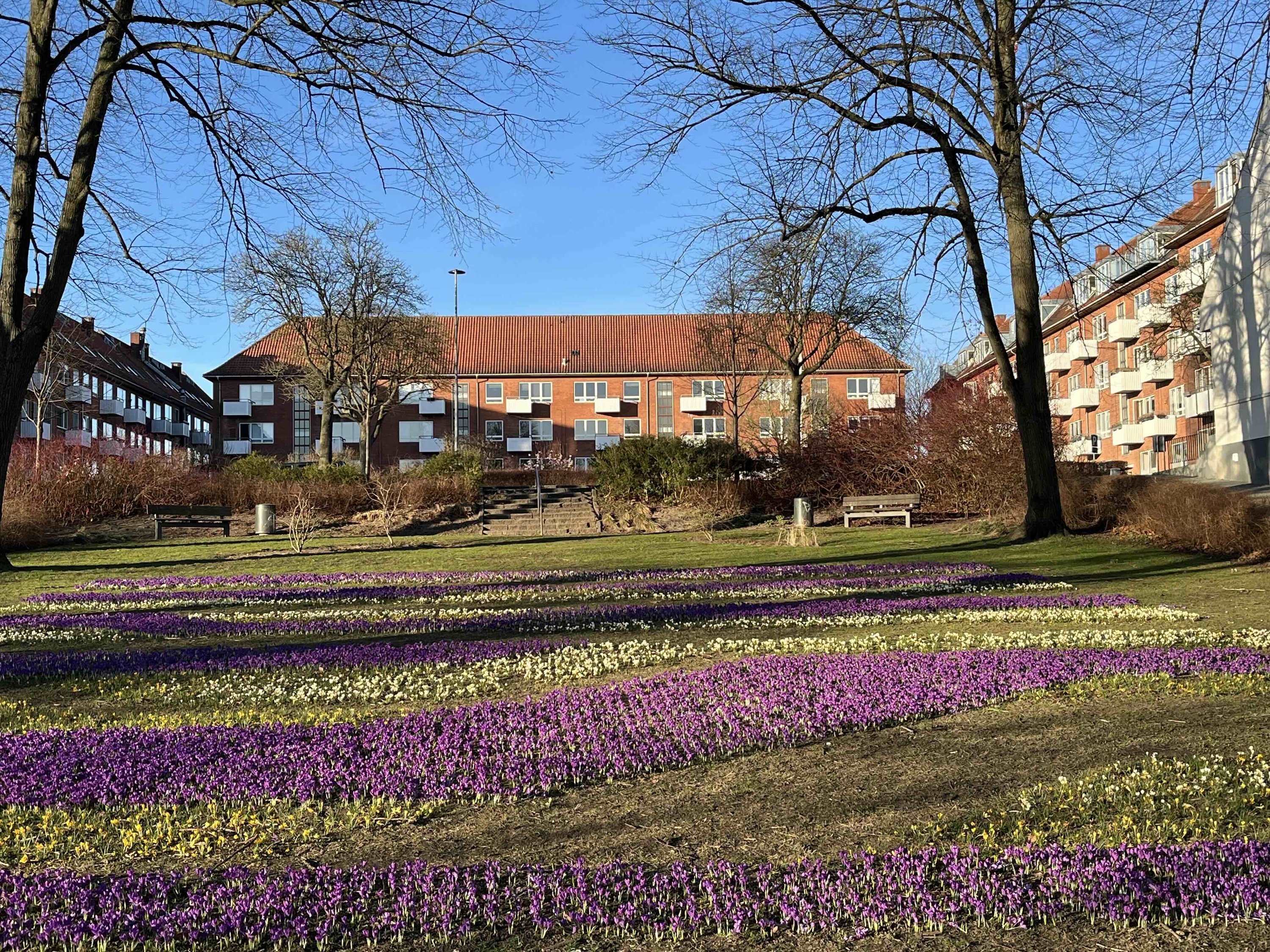 Døckerslundsvej 4B, 1. tv., 5000 Odense C