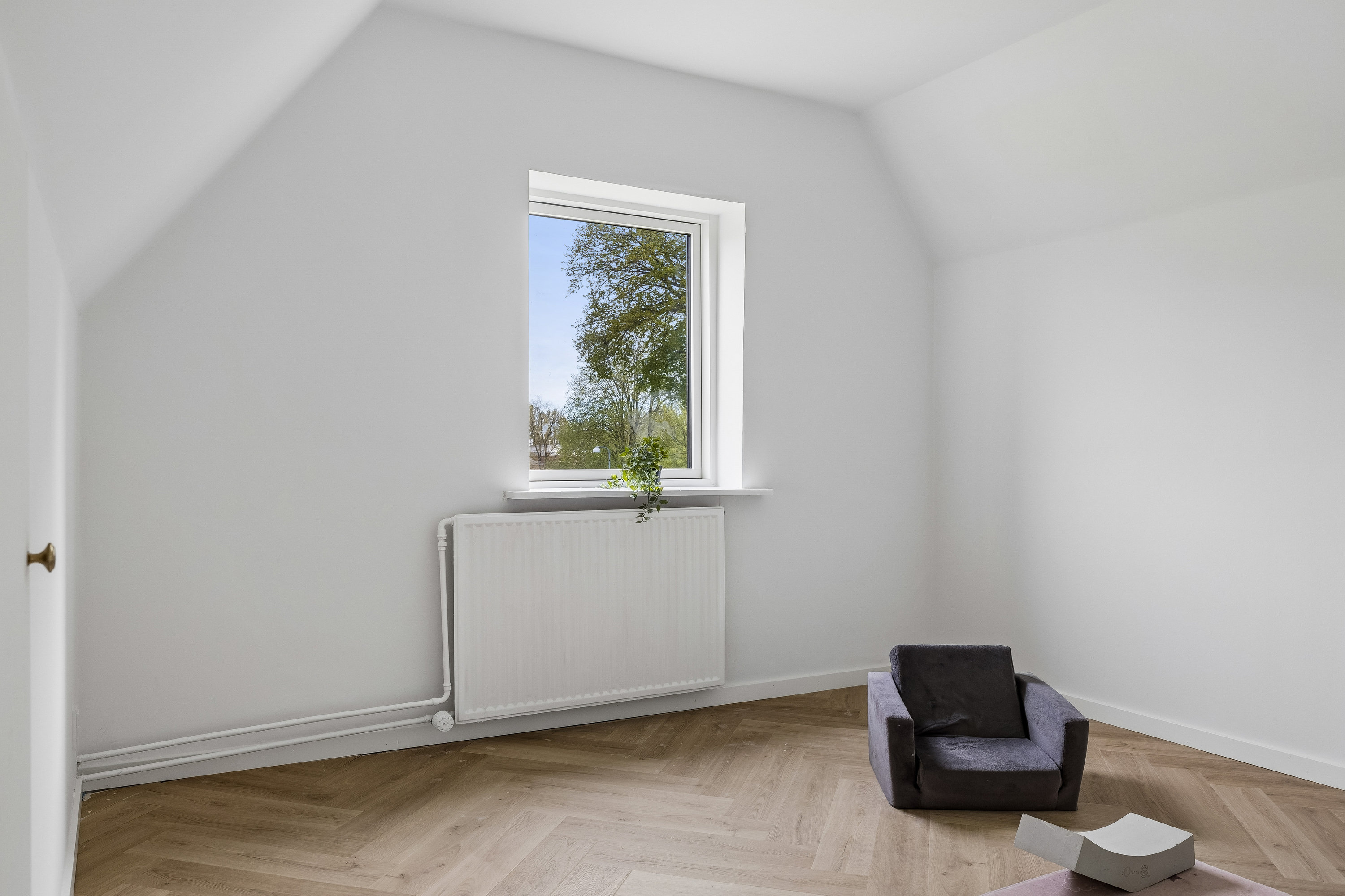 Svendsgade 16, 5000 Odense C