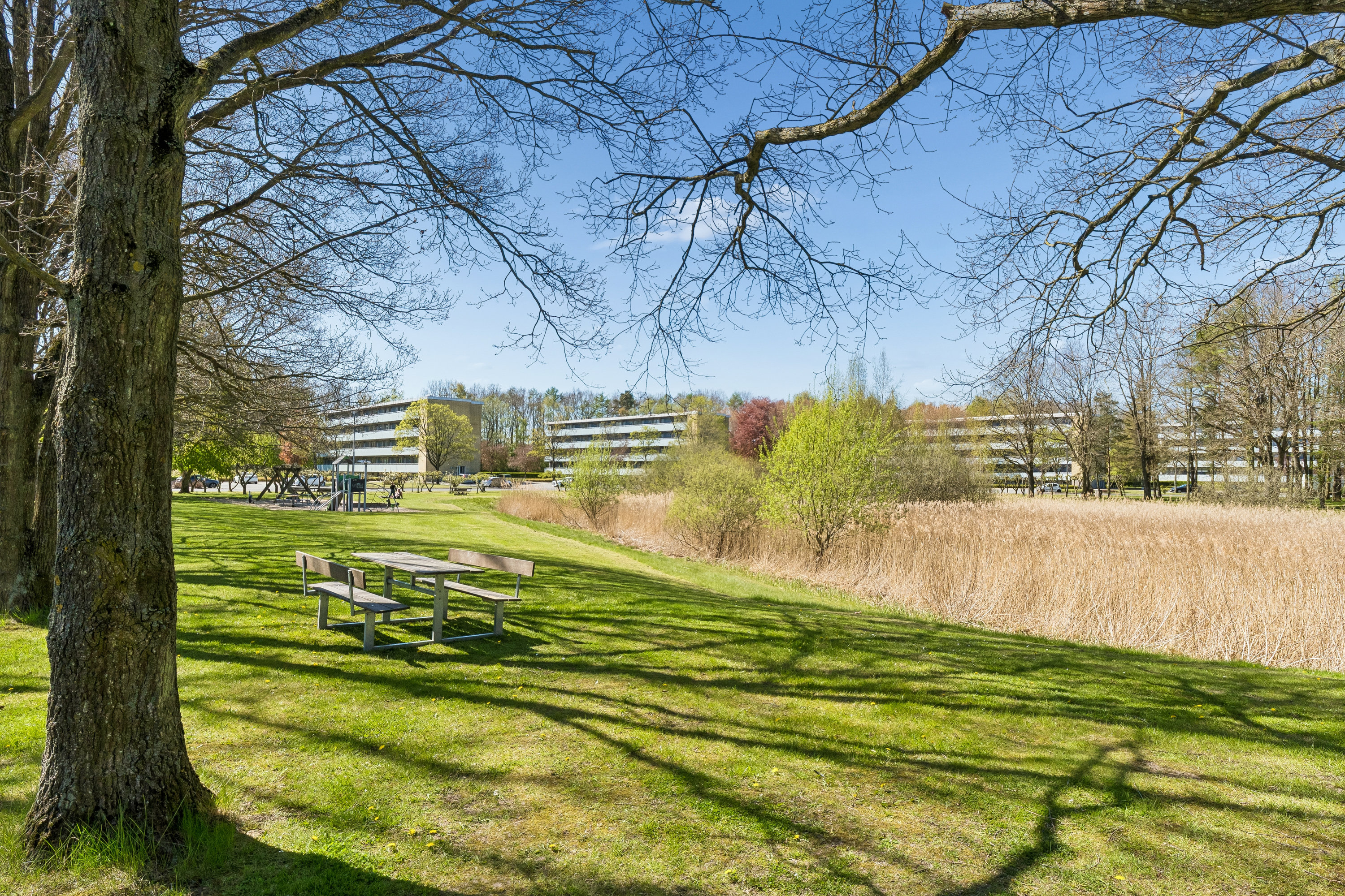 Æbleparken 40, st., 5270 Odense N