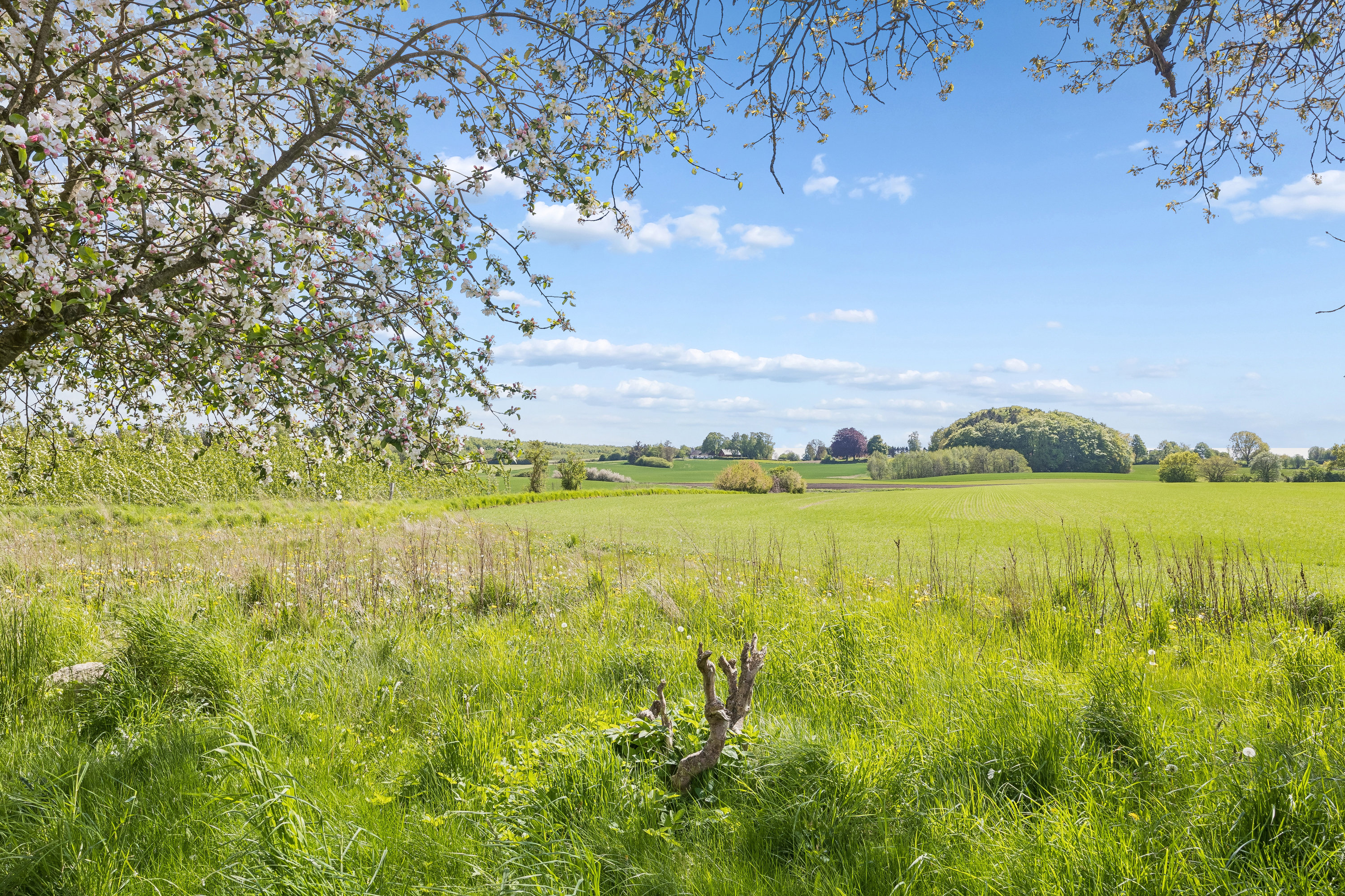 Sneslevvej 44, 4250 Fuglebjerg