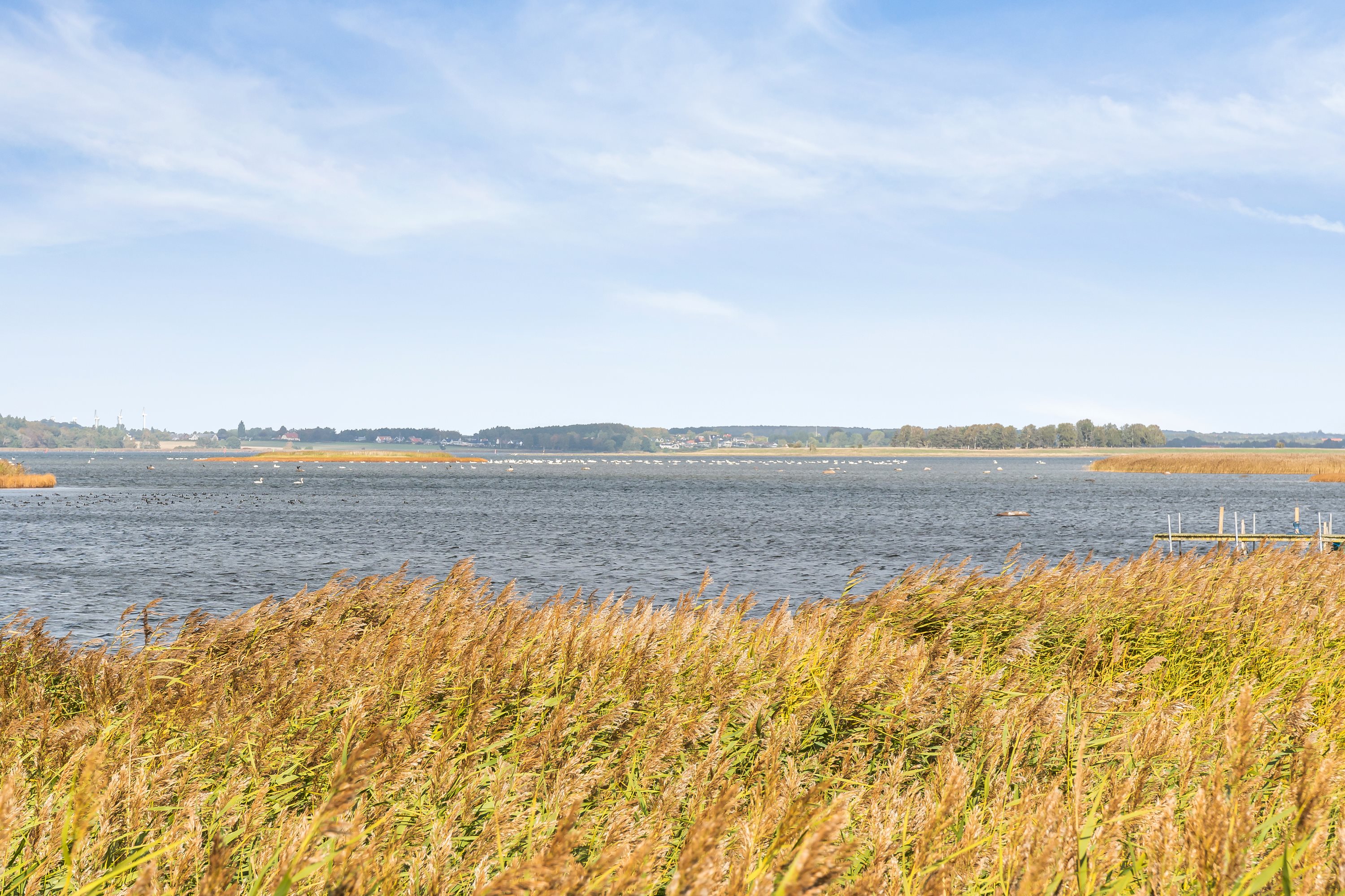 Strandgårdsvej 15, Enø, 4736 Karrebæksminde