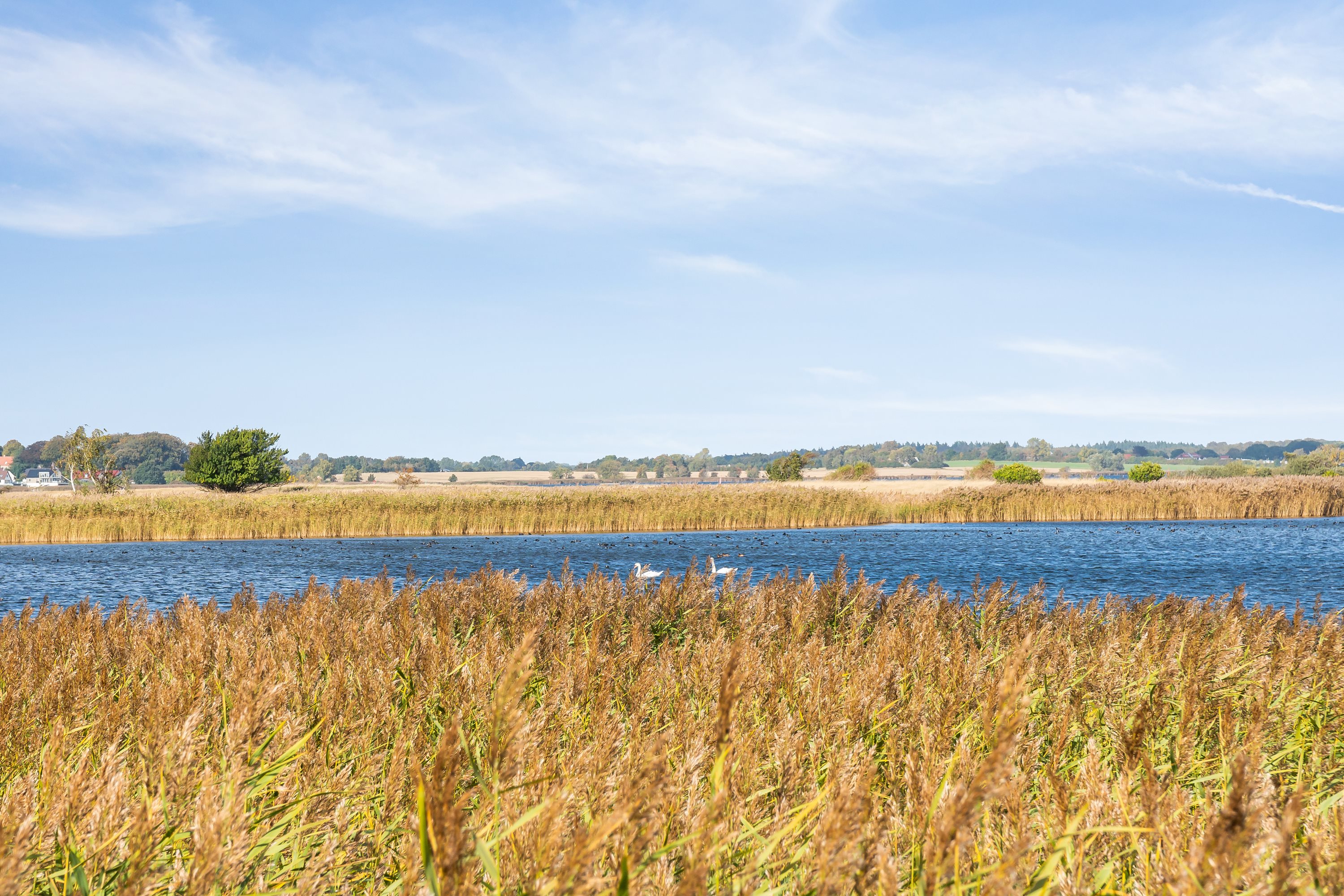Strandgårdsvej 15, Enø, 4736 Karrebæksminde