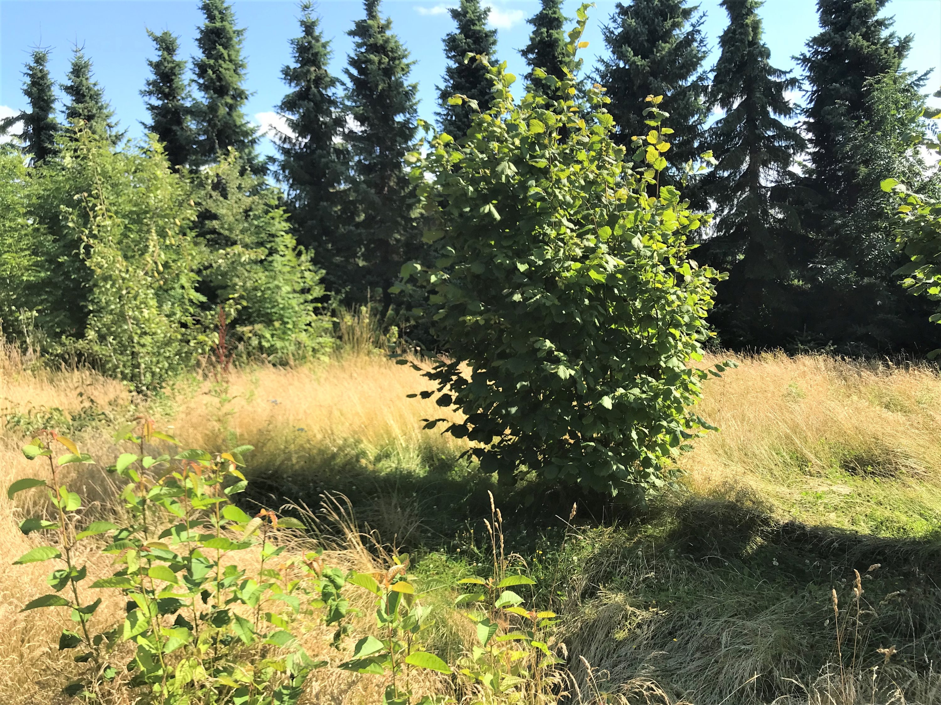 Landlystvej 2B, 4520 Svinninge