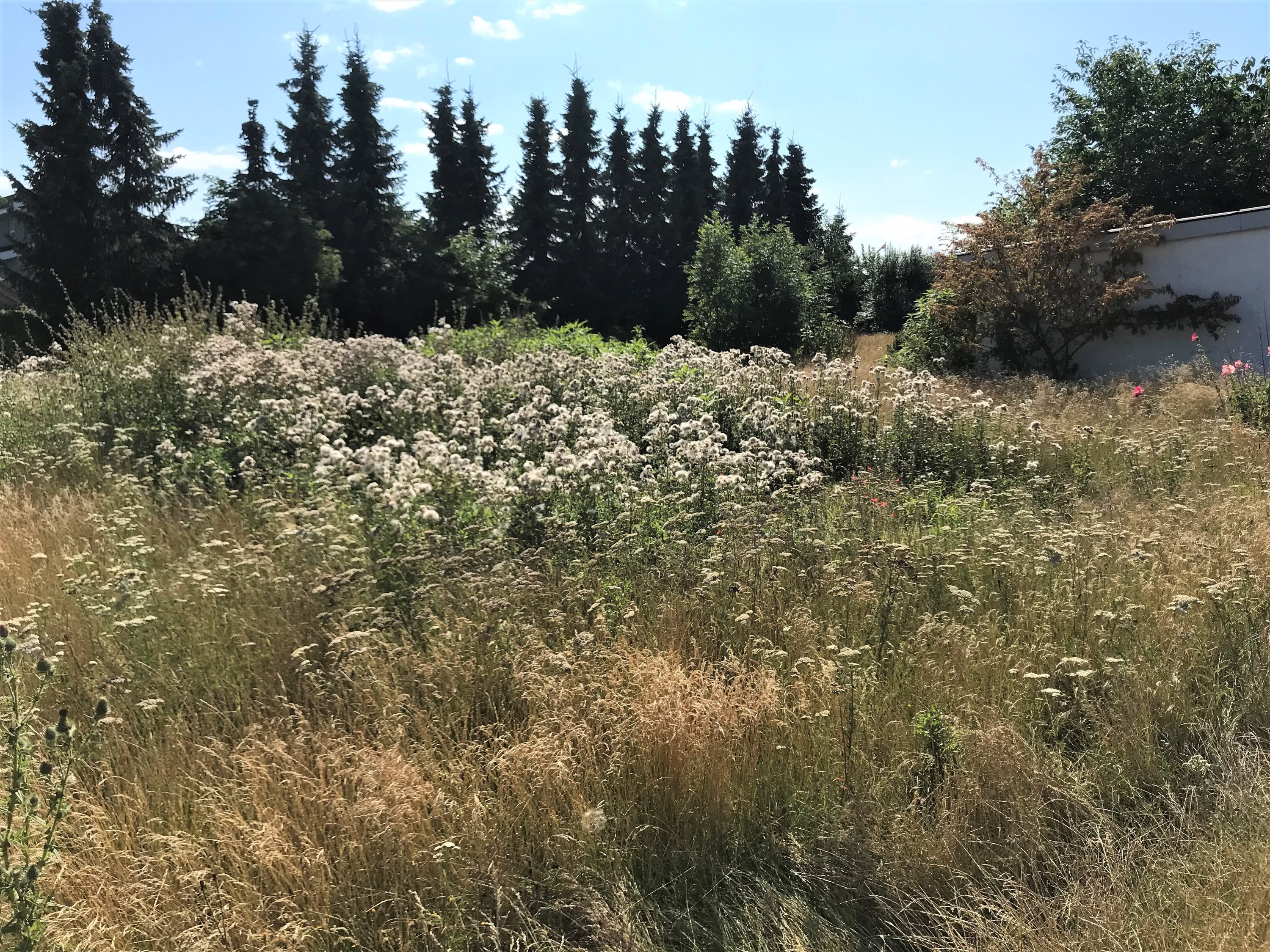 Landlystvej 2B, 4520 Svinninge