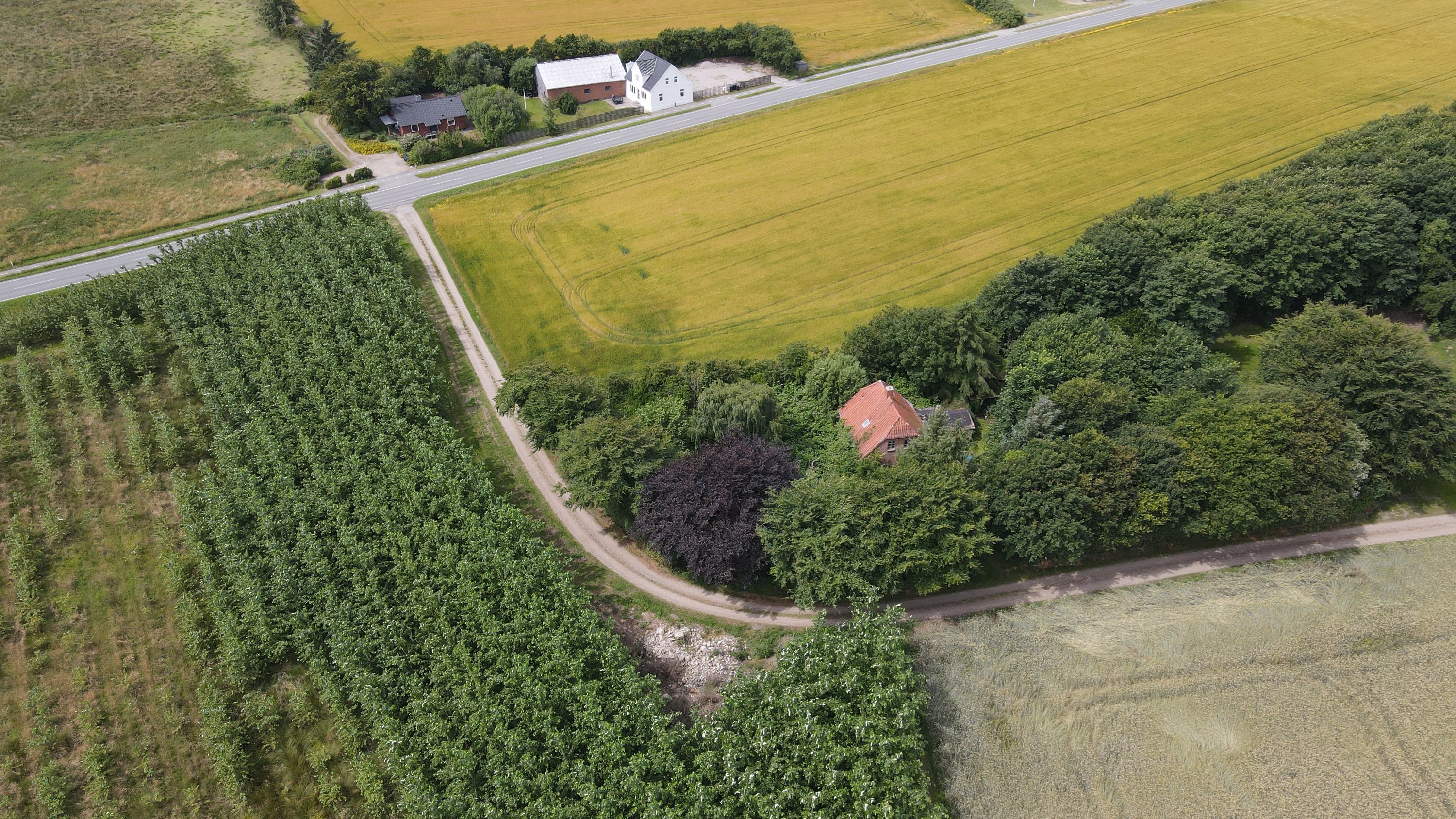 Ribevej 63, Sejstrup, 6740 Bramming