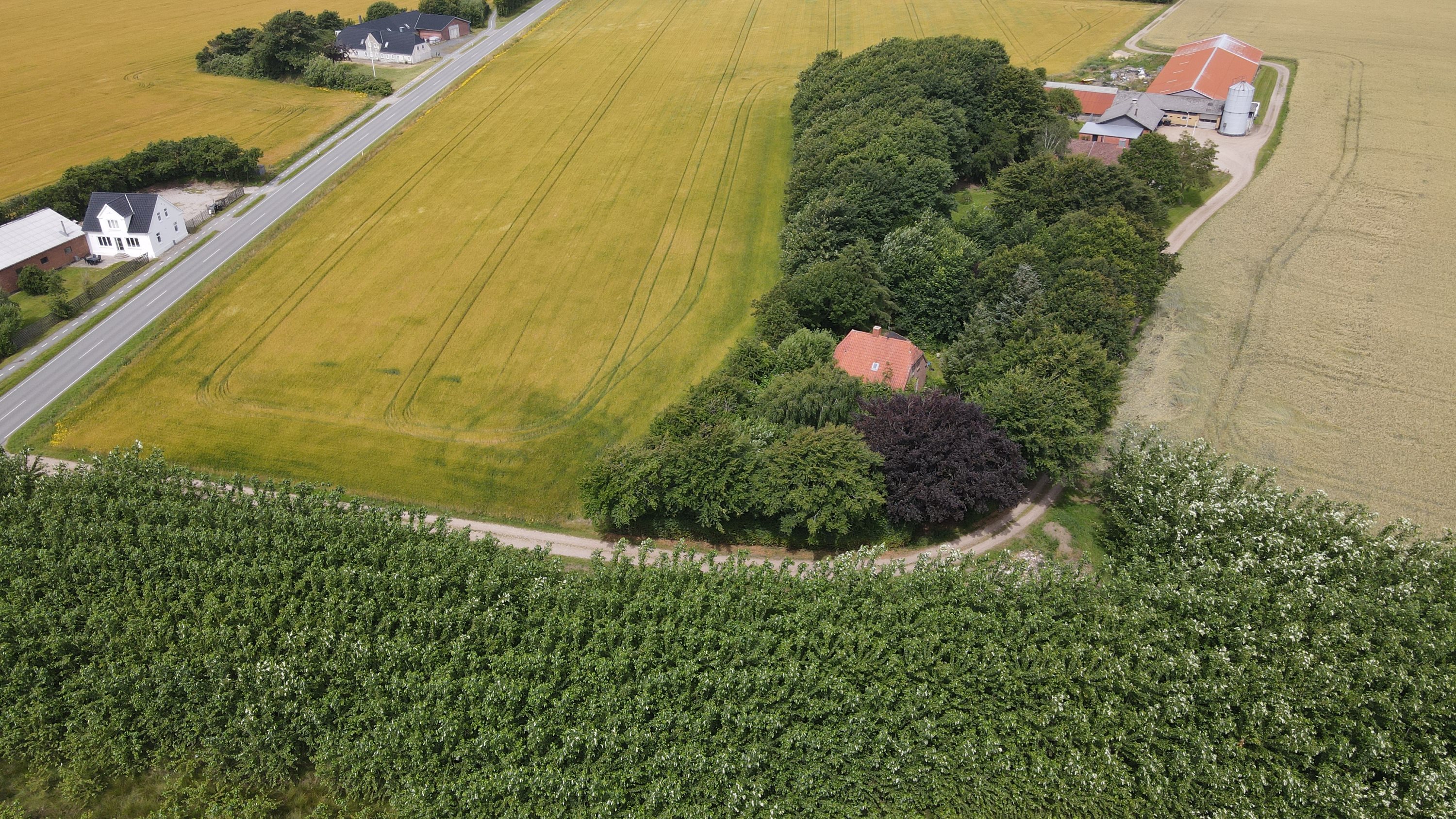Ribevej 63, Sejstrup, 6740 Bramming