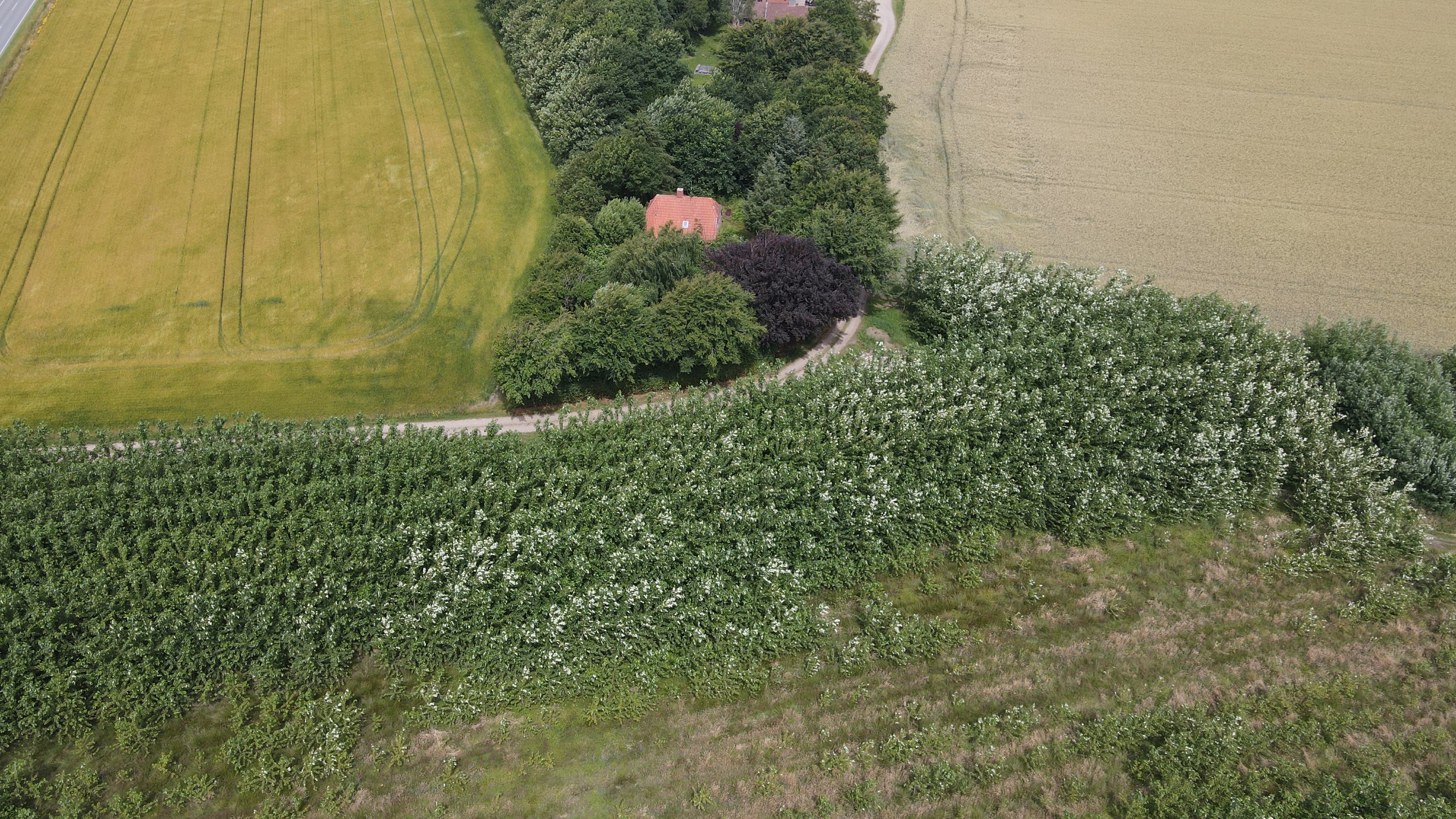 Ribevej 63, Sejstrup, 6740 Bramming