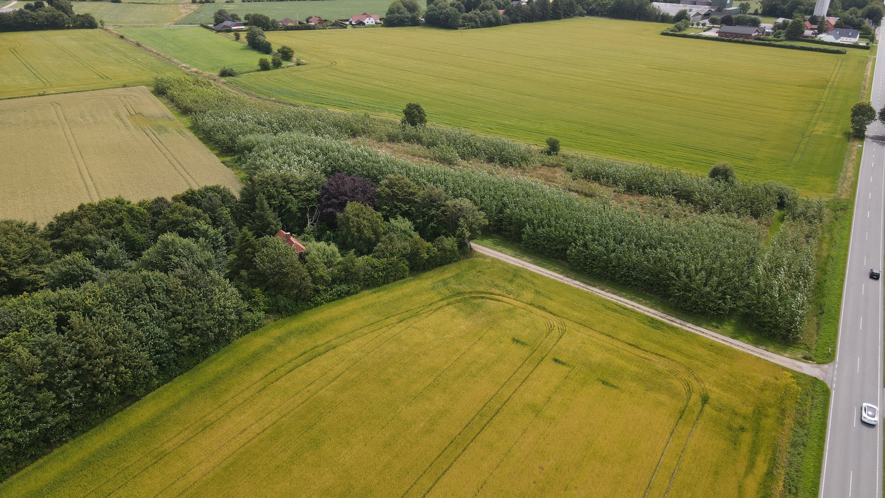 Ribevej 63, Sejstrup, 6740 Bramming