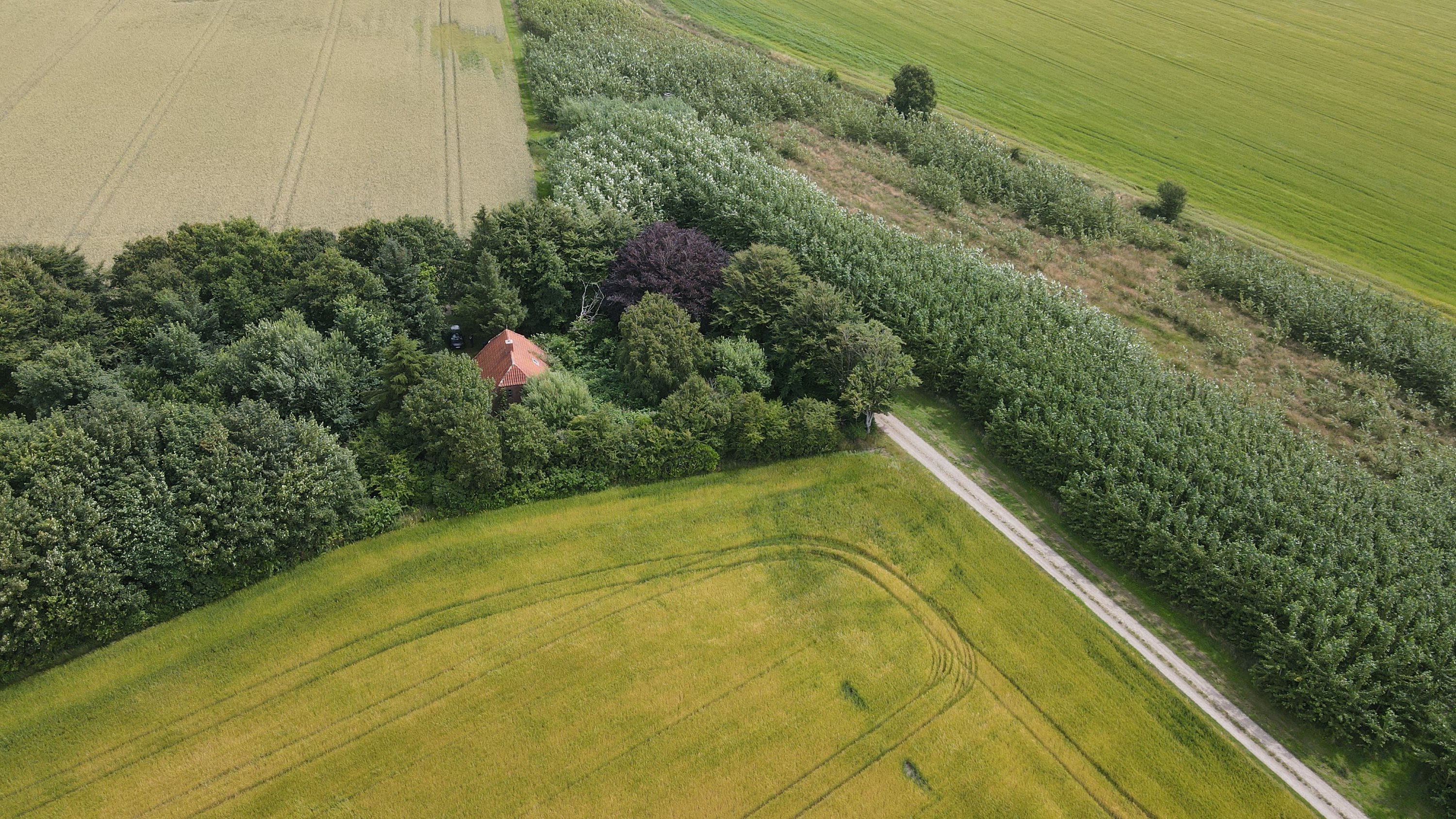 Ribevej 63, Sejstrup, 6740 Bramming