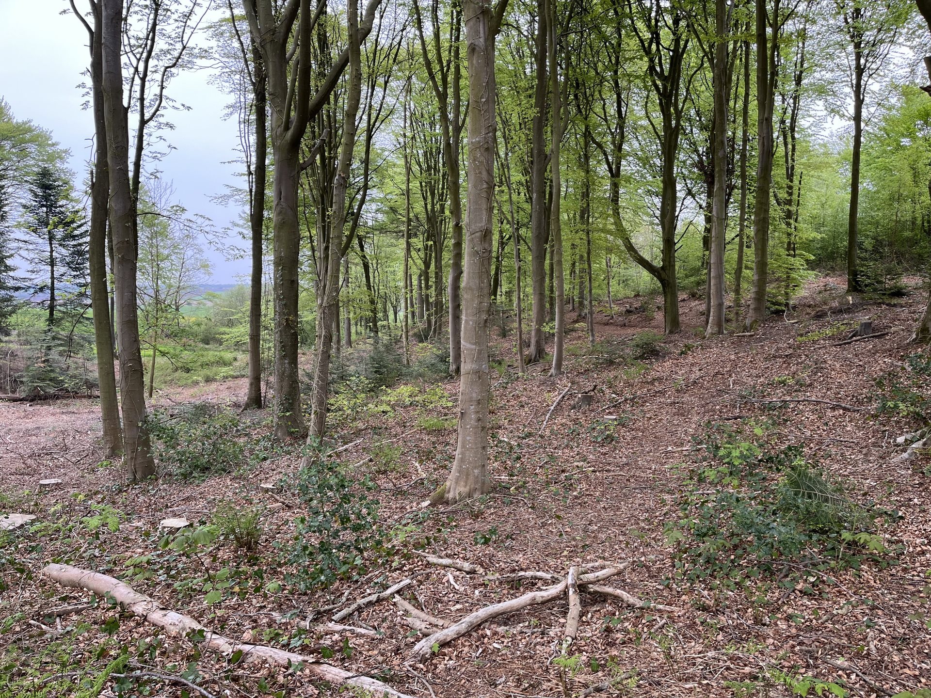 Kirkebakken 4, Hanning, 6900 Skjern
